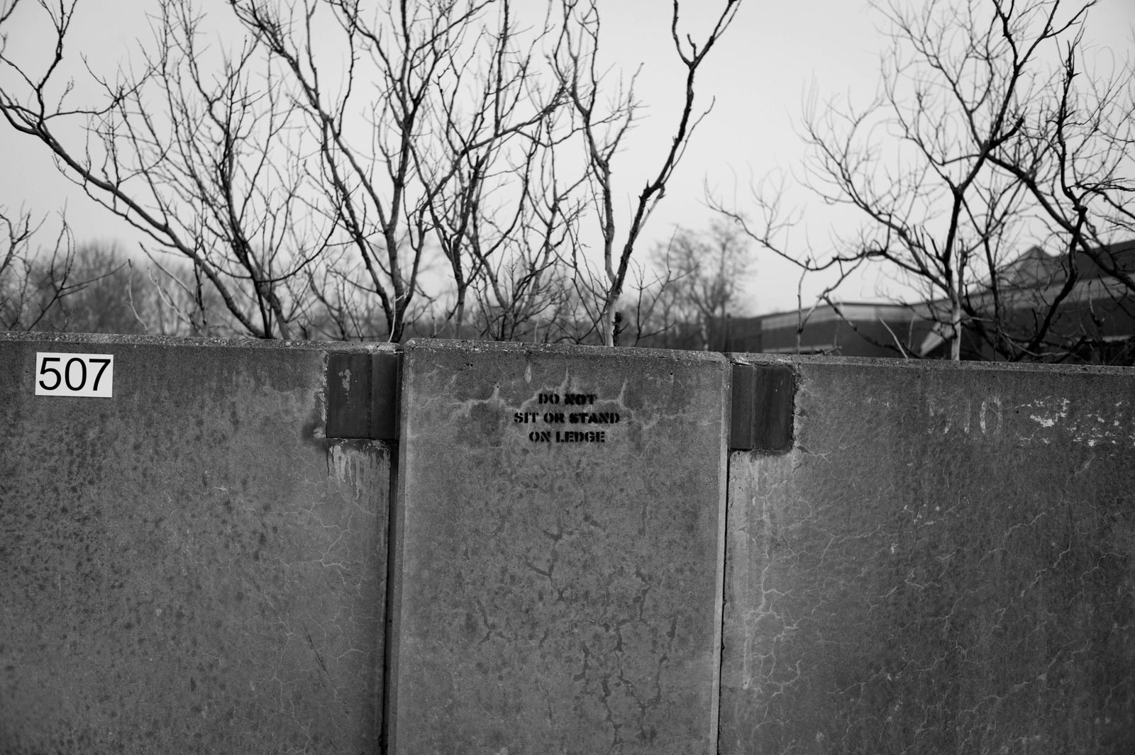 Concrete Barriers and Bare Branches