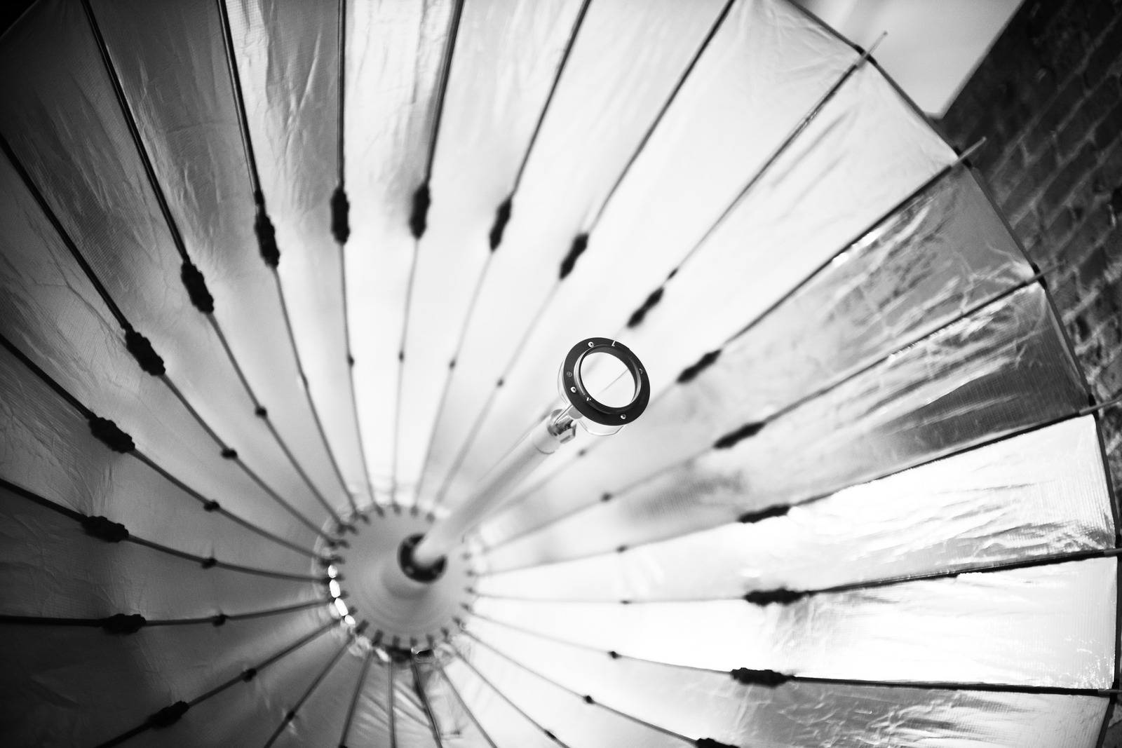 Illuminated Elegance