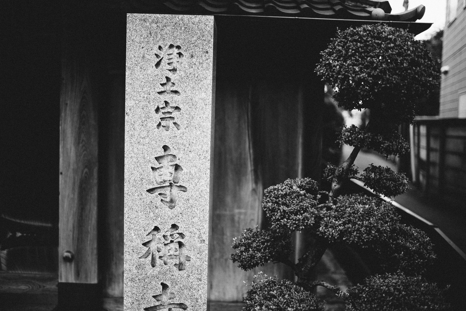 Serenity in Monochrome