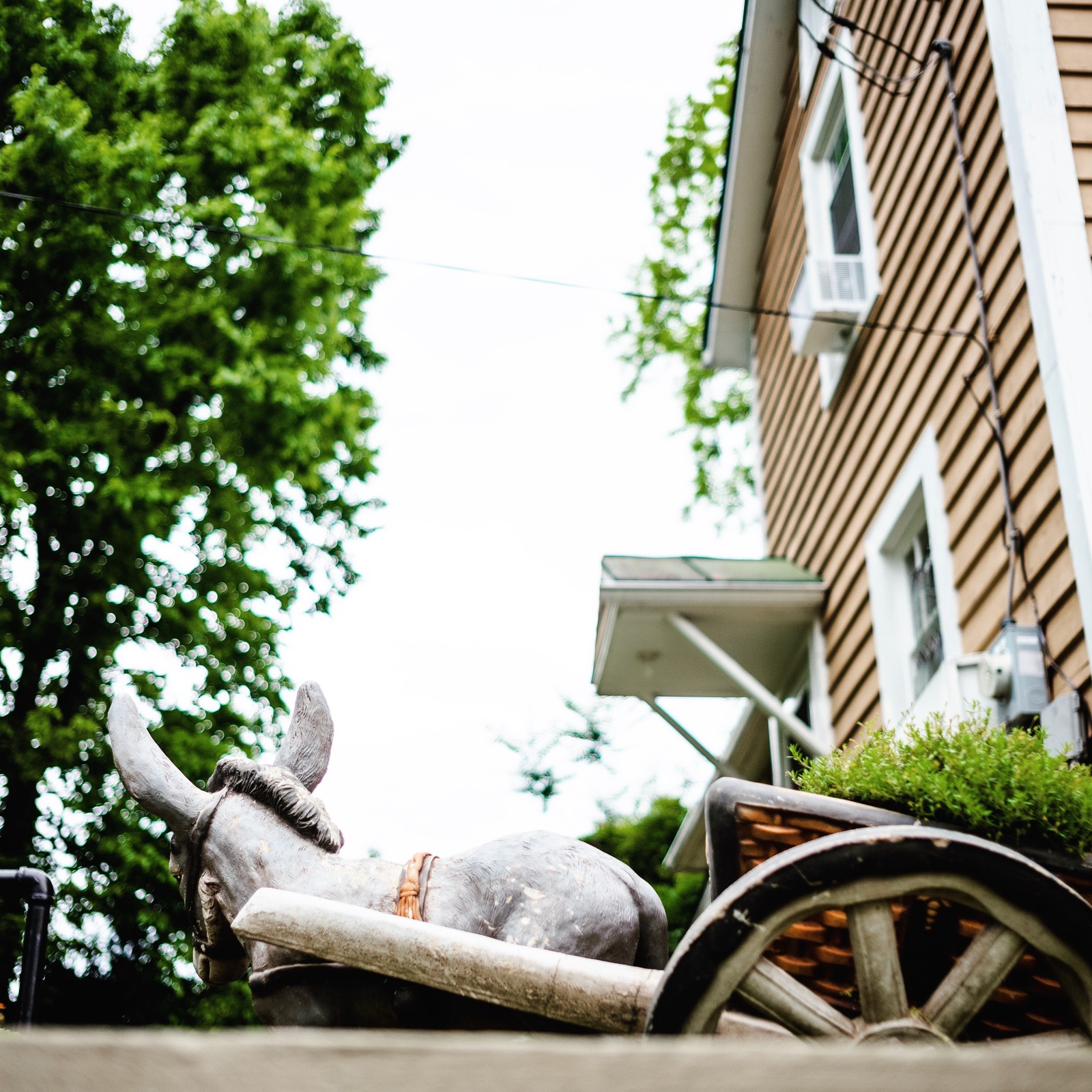 Rustic Charm Unveiled