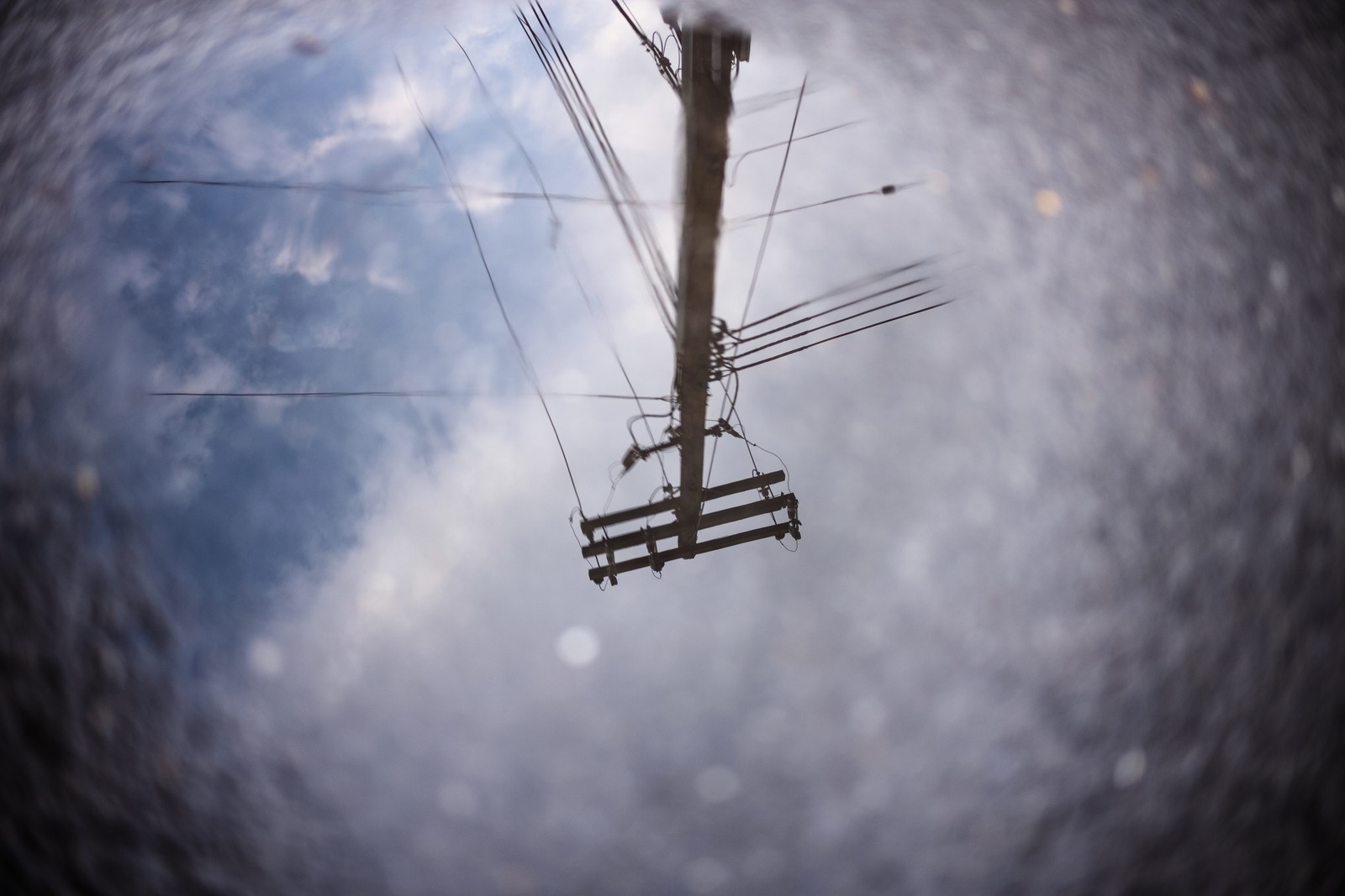 Reflections in a Puddle