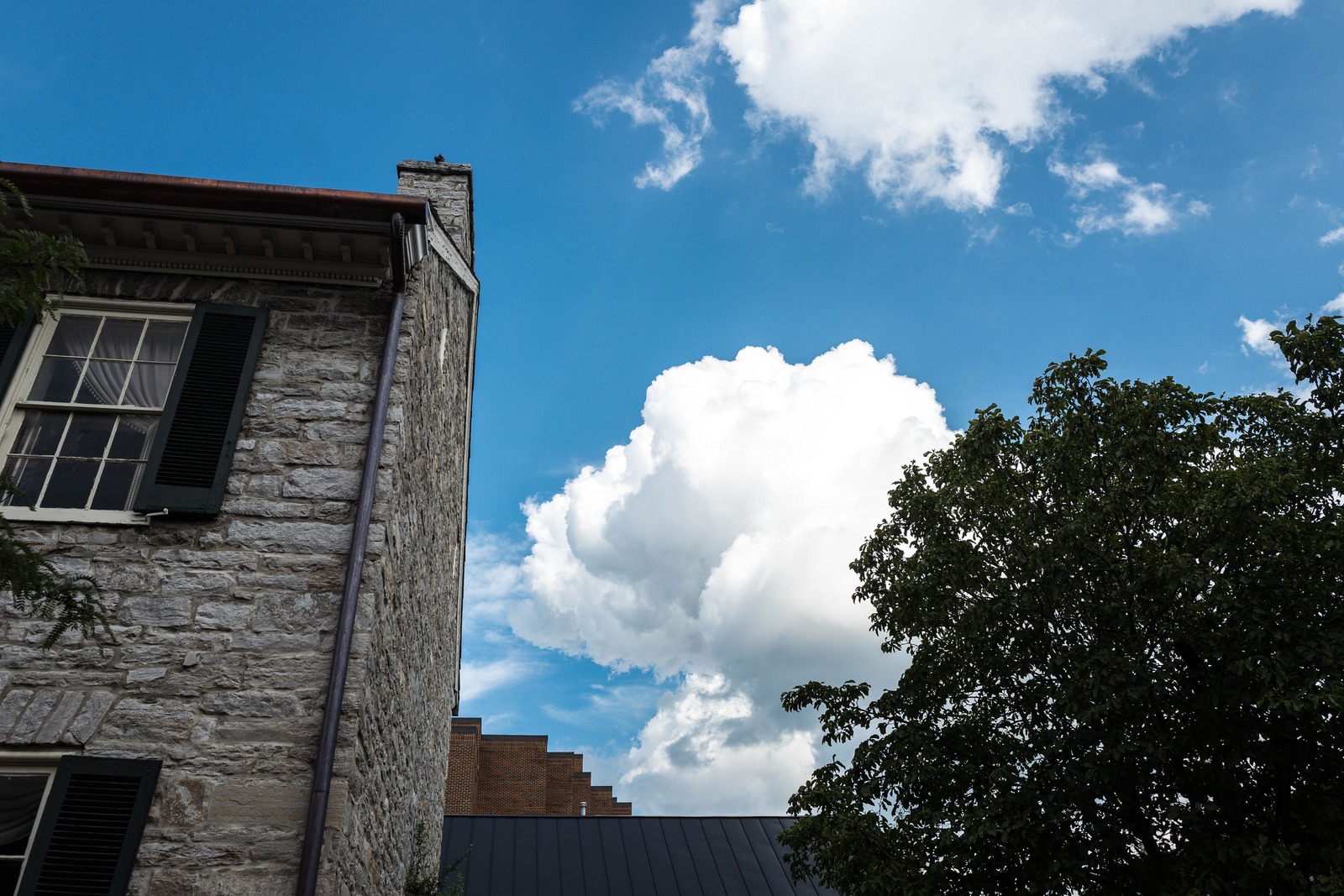 Quiet Corner of Nature