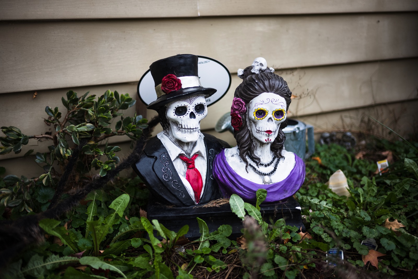 Whimsical Embrace of the Dead