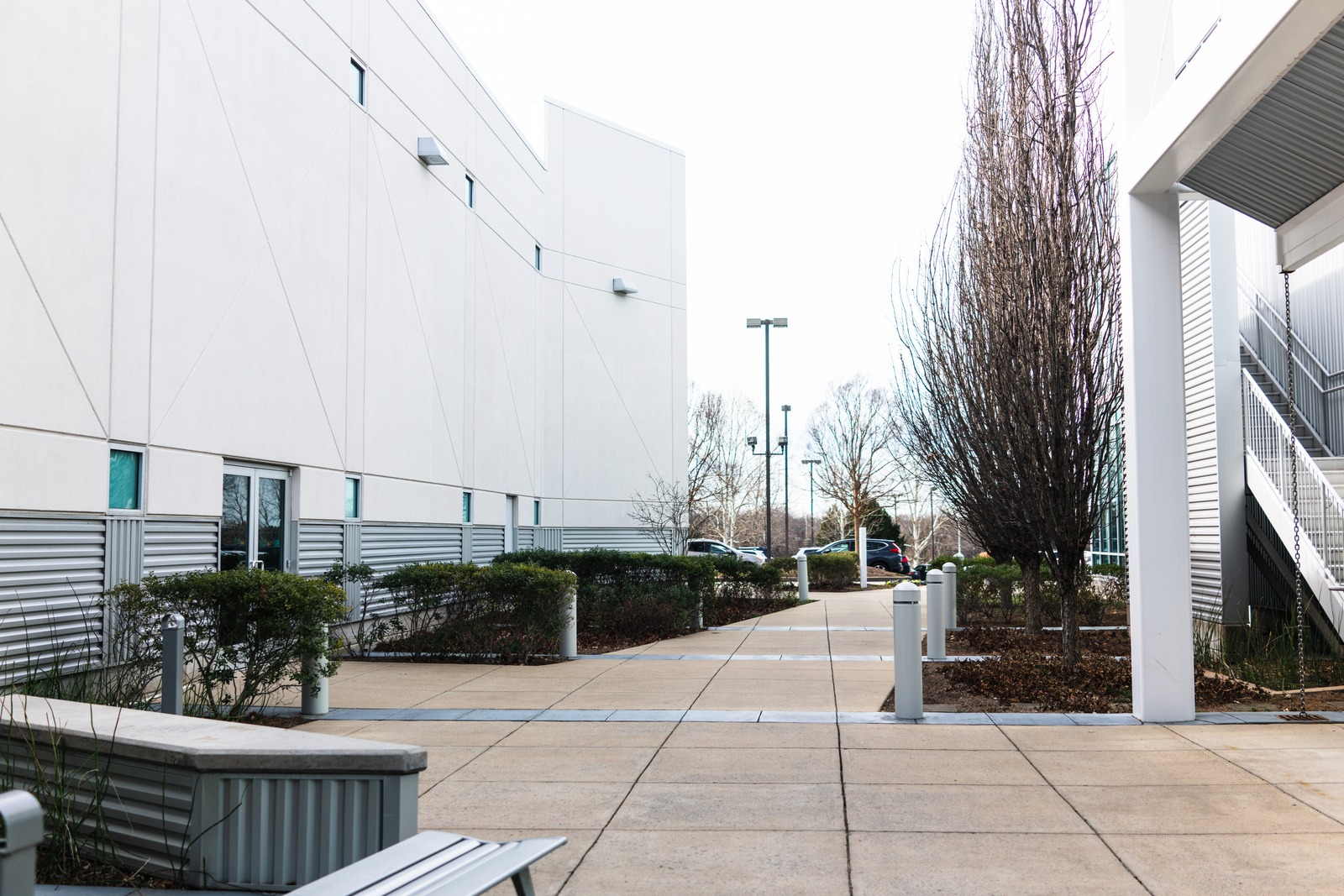 Urban Pathway Serenity