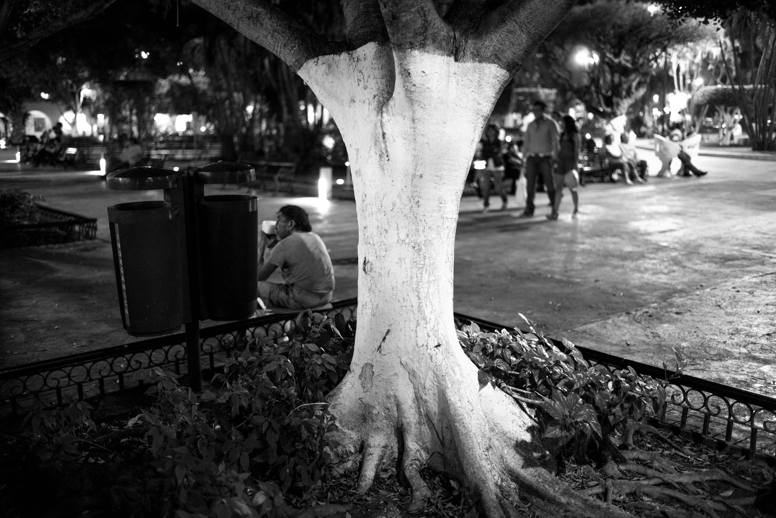 Nighttime Reflection