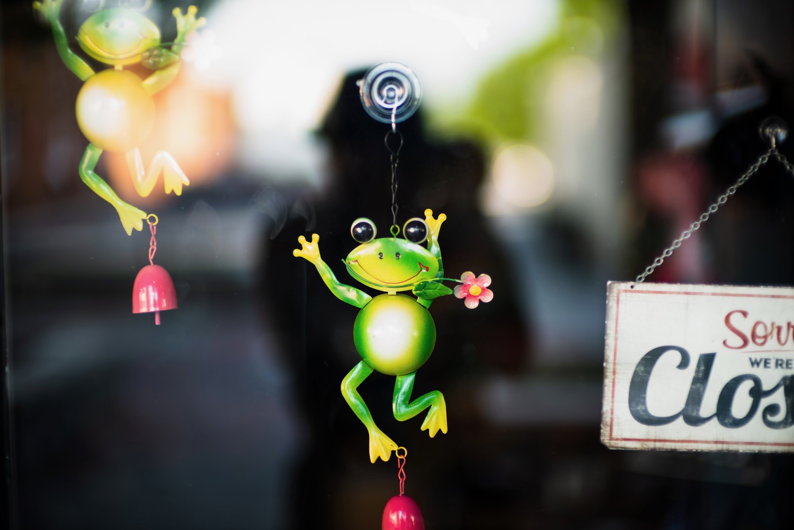 Joyful Frogs in Reflection