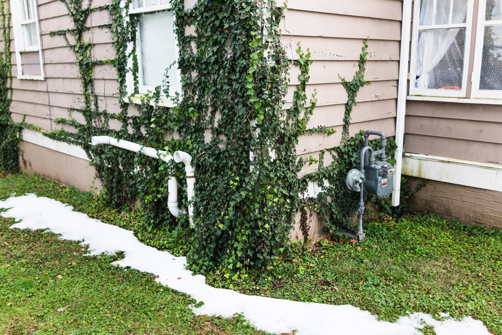 Nature's Embrace on a Home