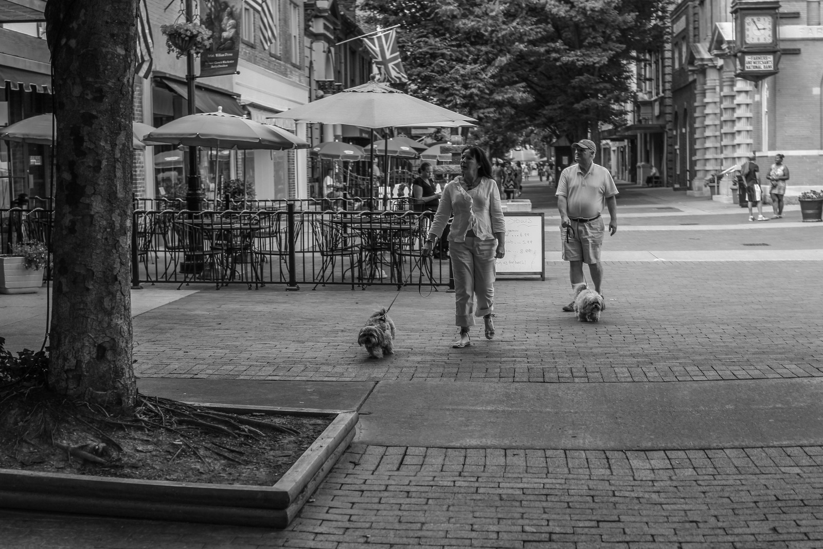 Casual Stroll Through Town