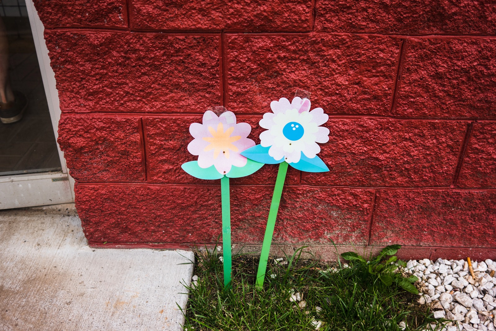 Colorful Garden Cheer