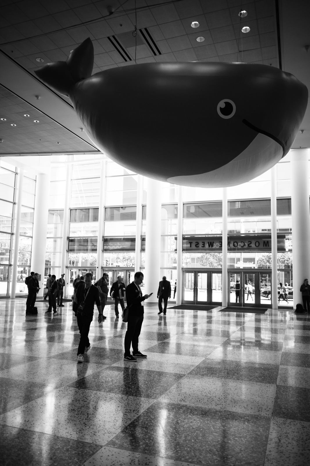 Whale Above the Crowd
