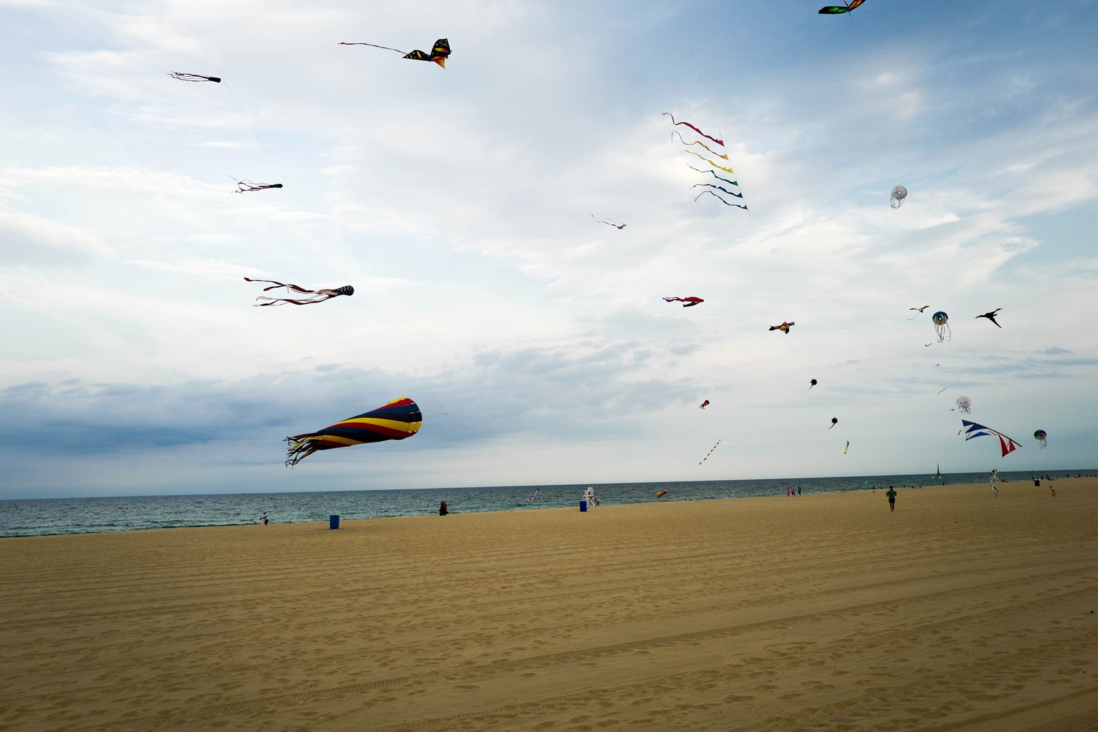 Kites in the Ocean Breeze