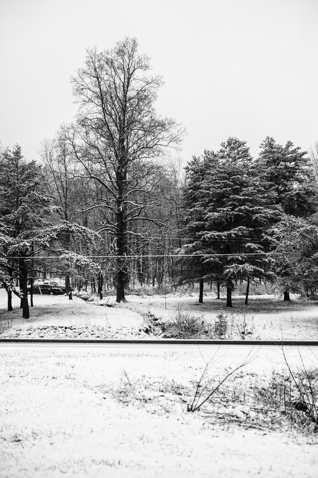 Winter's Silent Embrace