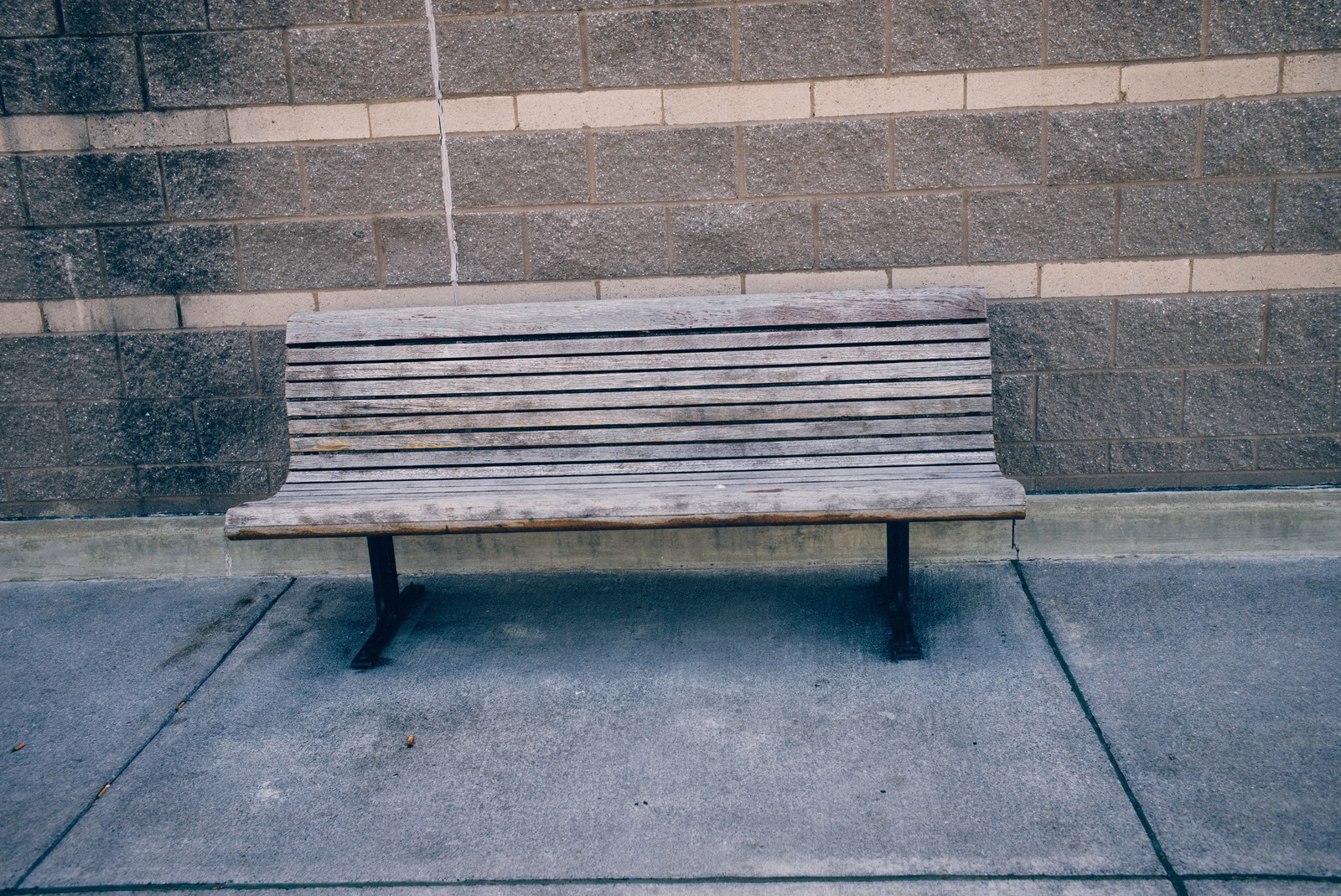 Solitude on a Wooden Bench