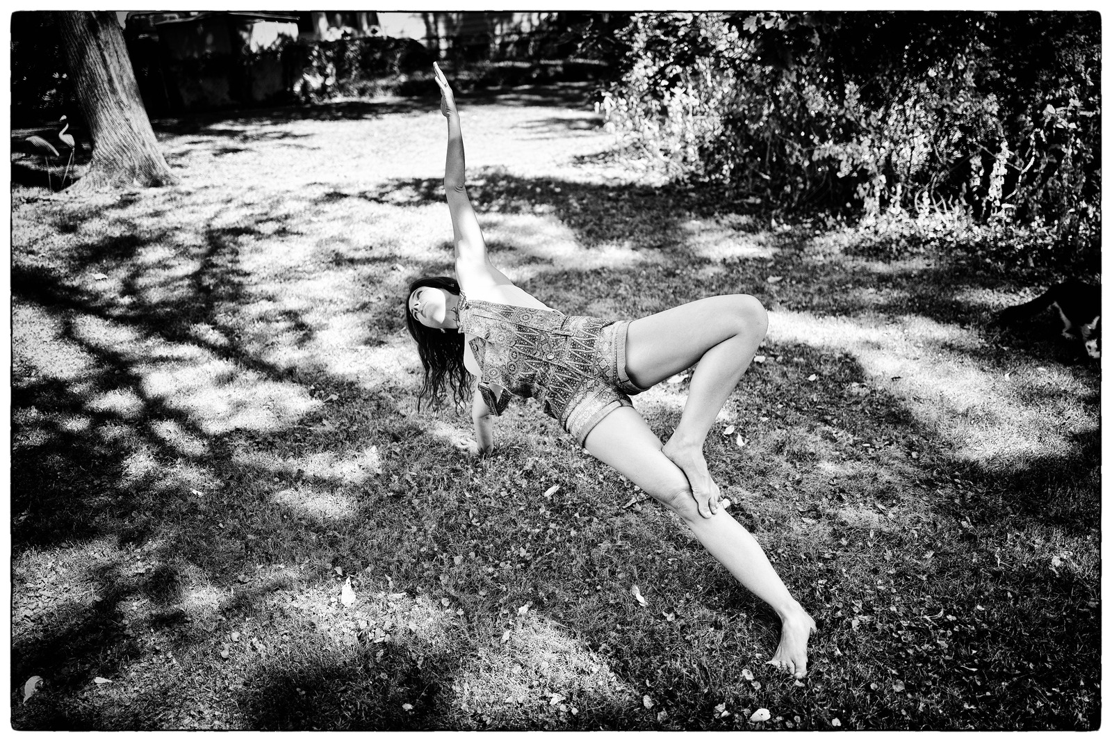 Graceful Contours in Nature