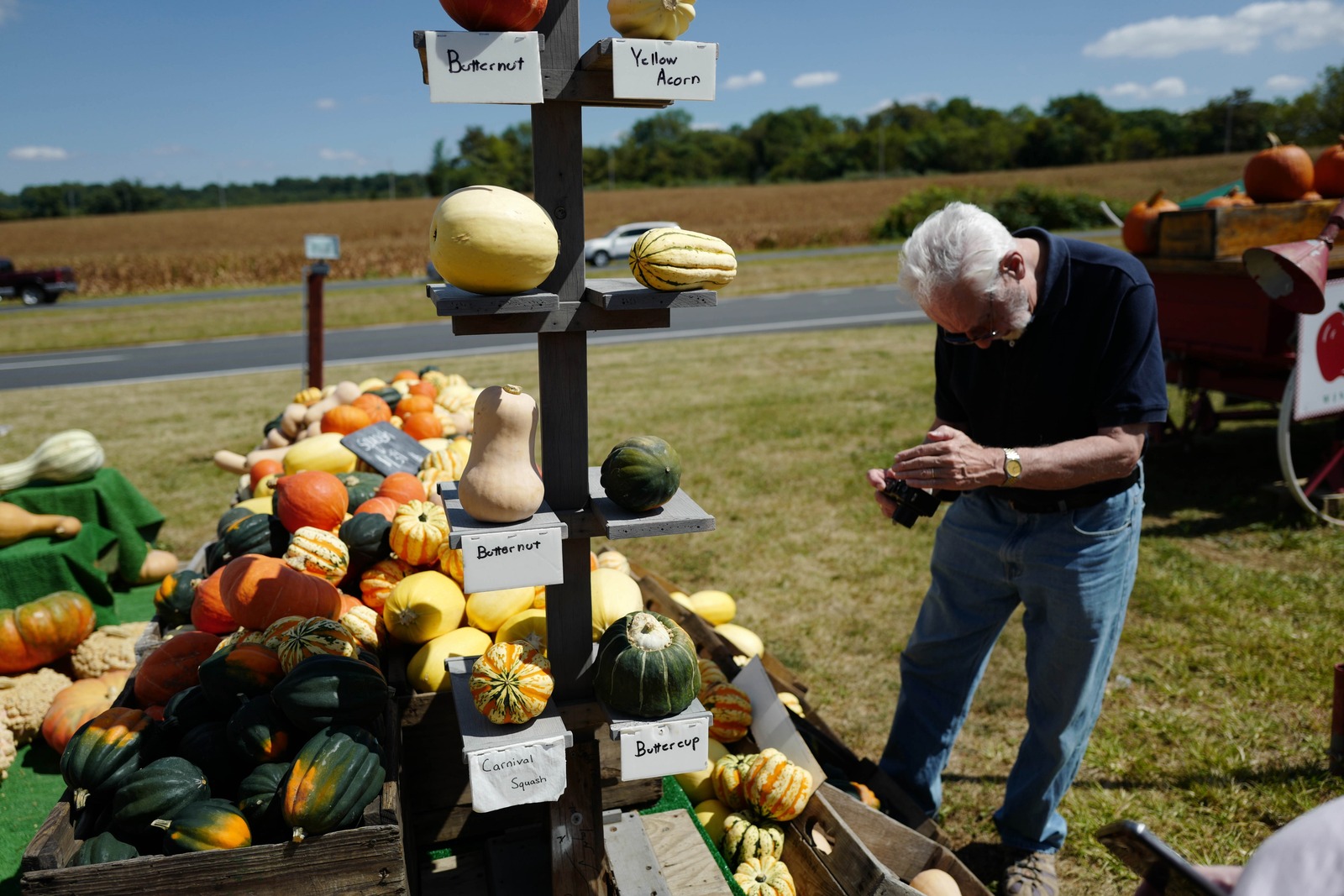 Autumn Harvest Moments