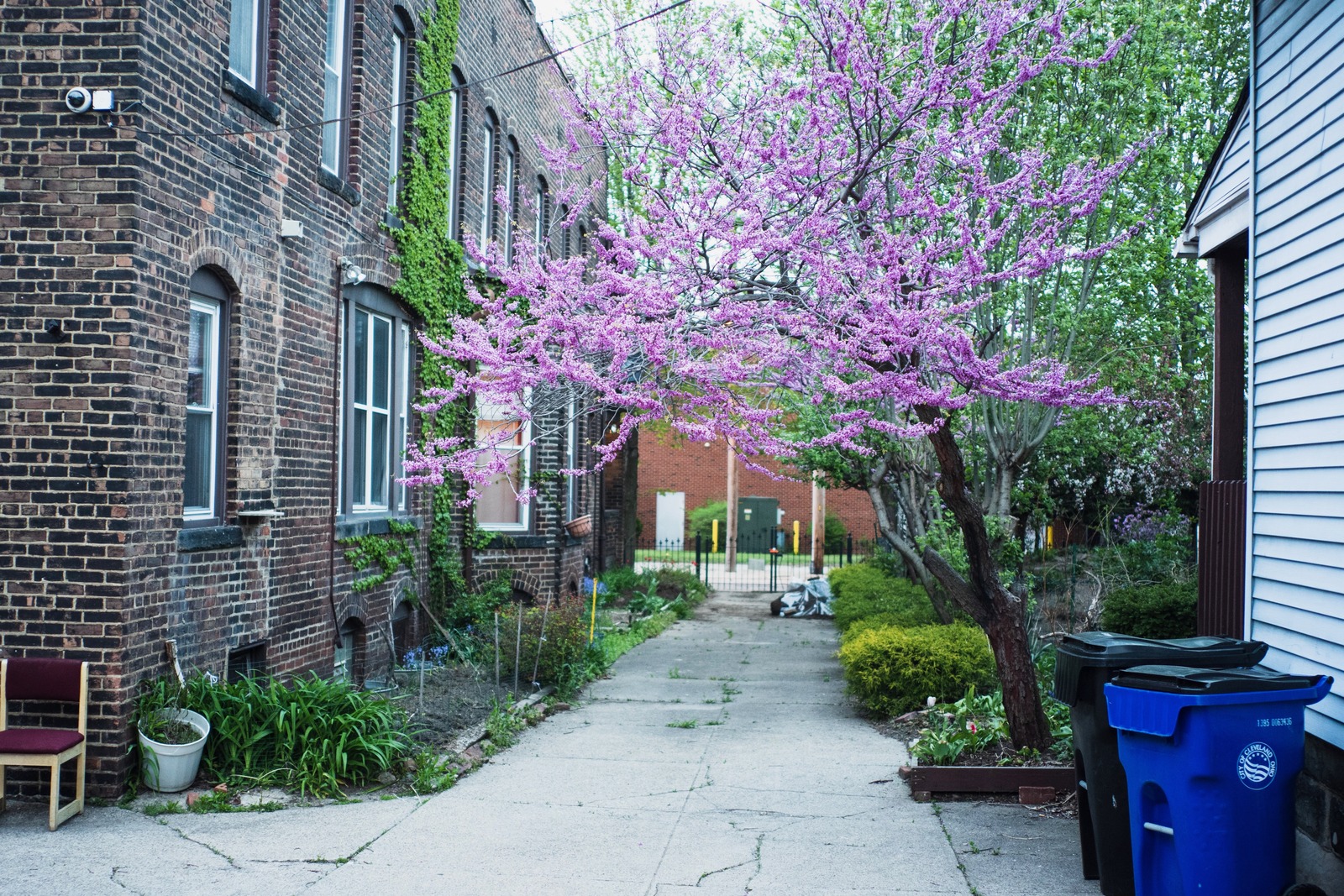 Urban Spring Awakening