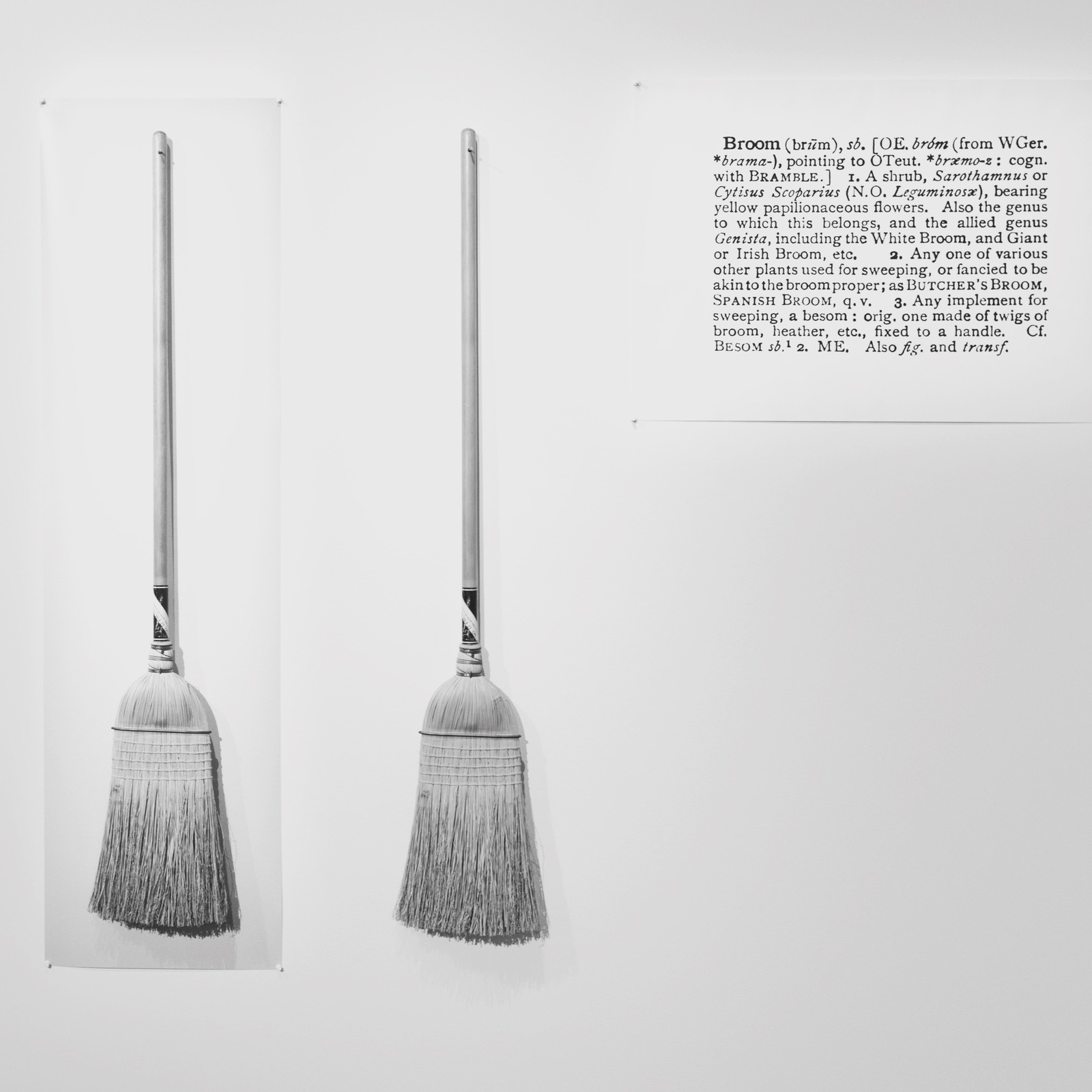 Simplicity and Functionality