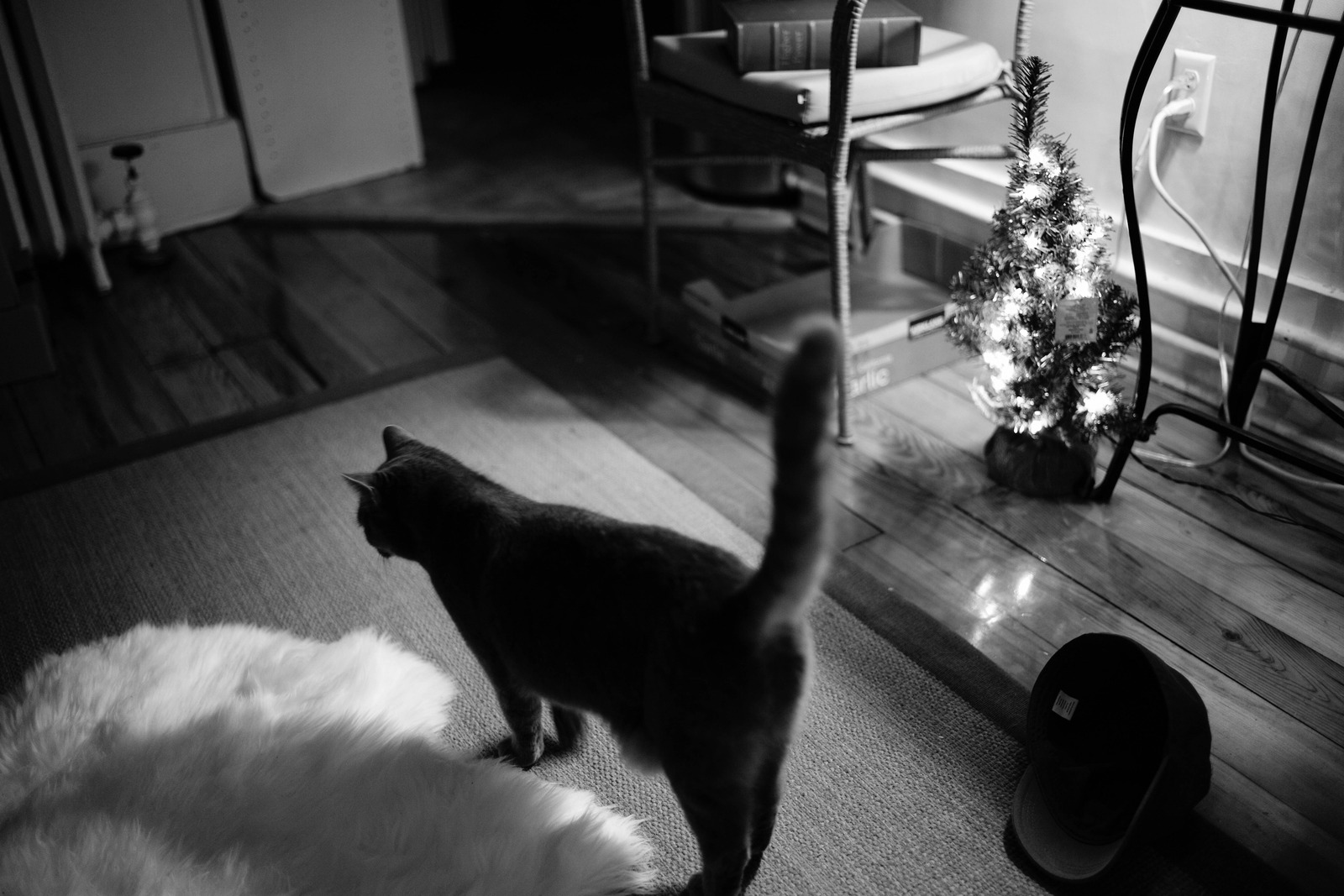 Quiet Holiday Evening