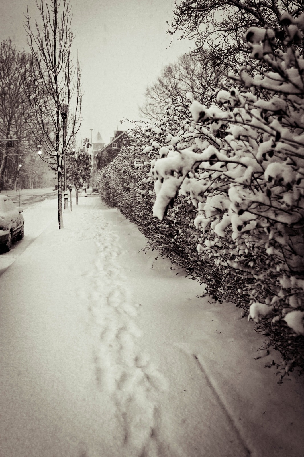 Winter's Silent Embrace