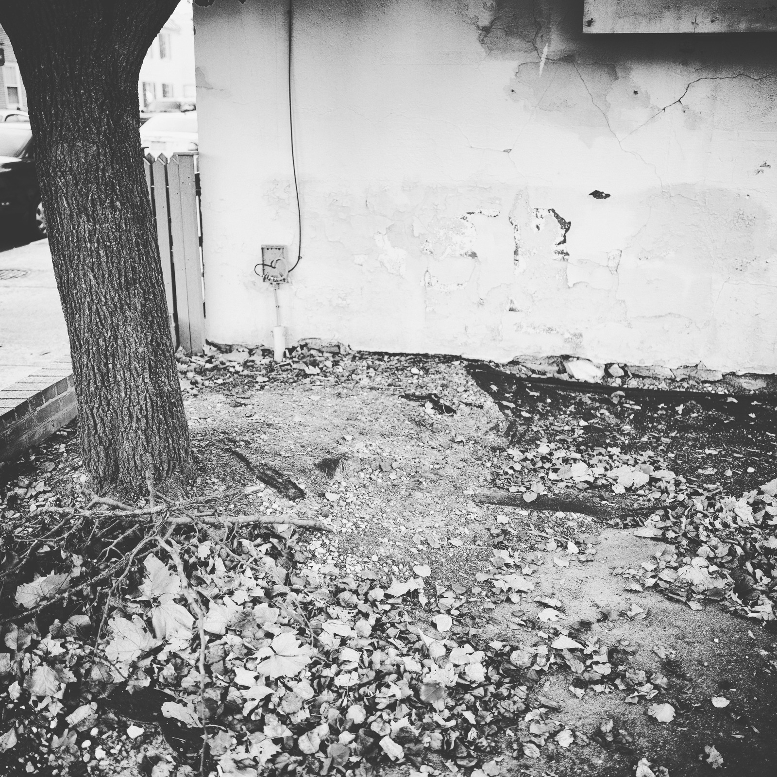 Urban Decay in Monochrome