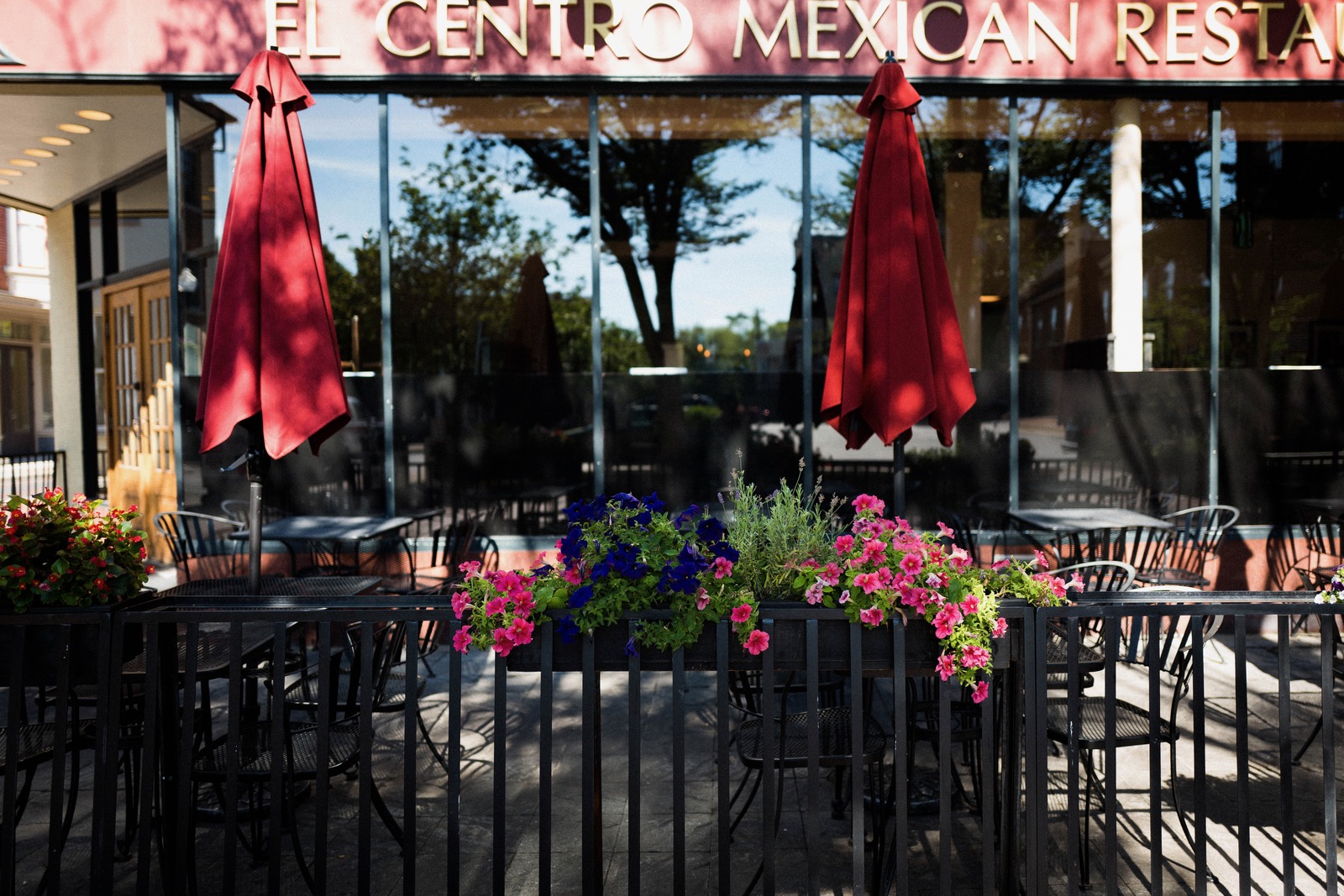 Vibrant Outdoor Dining