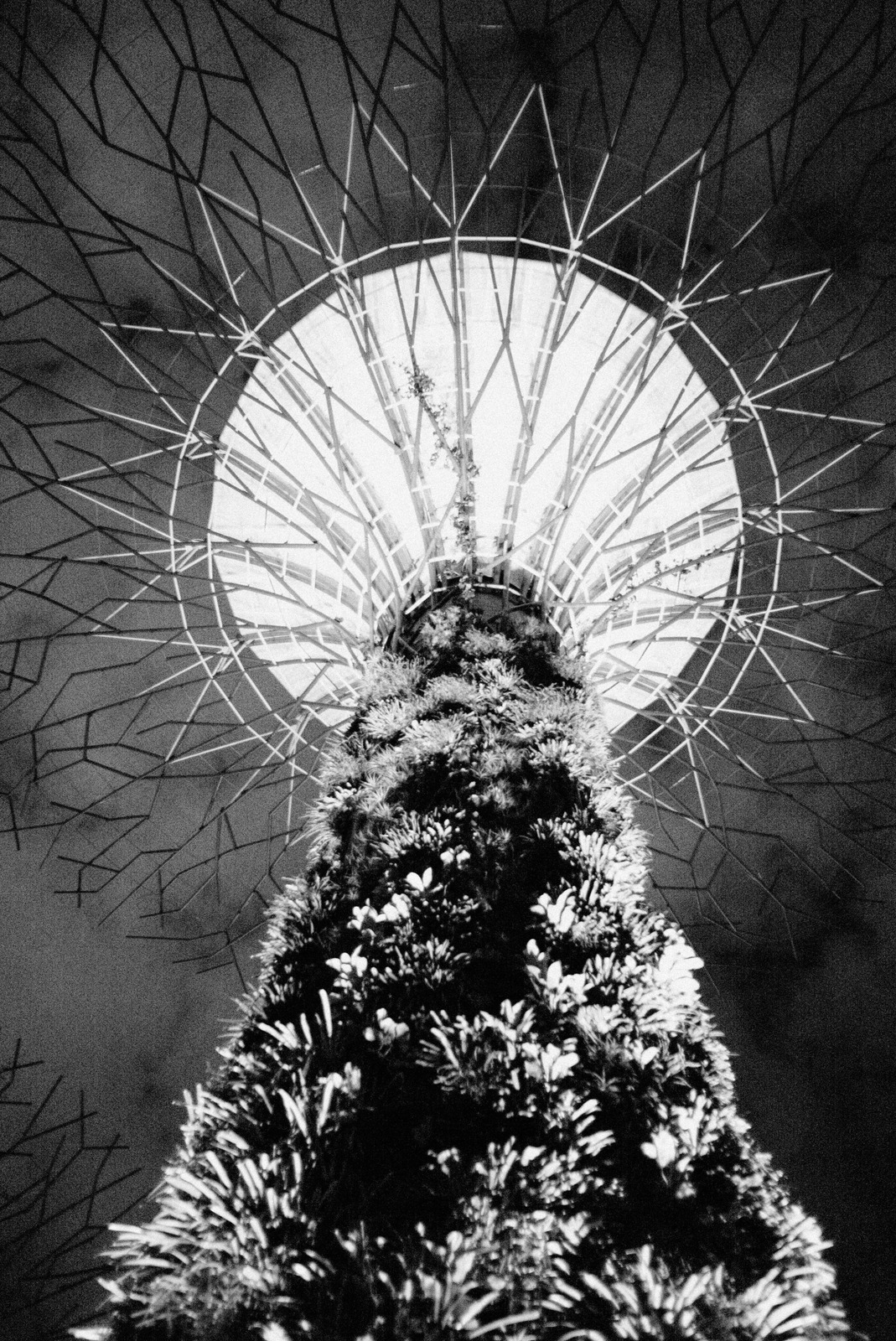 Urban Nature: A Towering Fusion