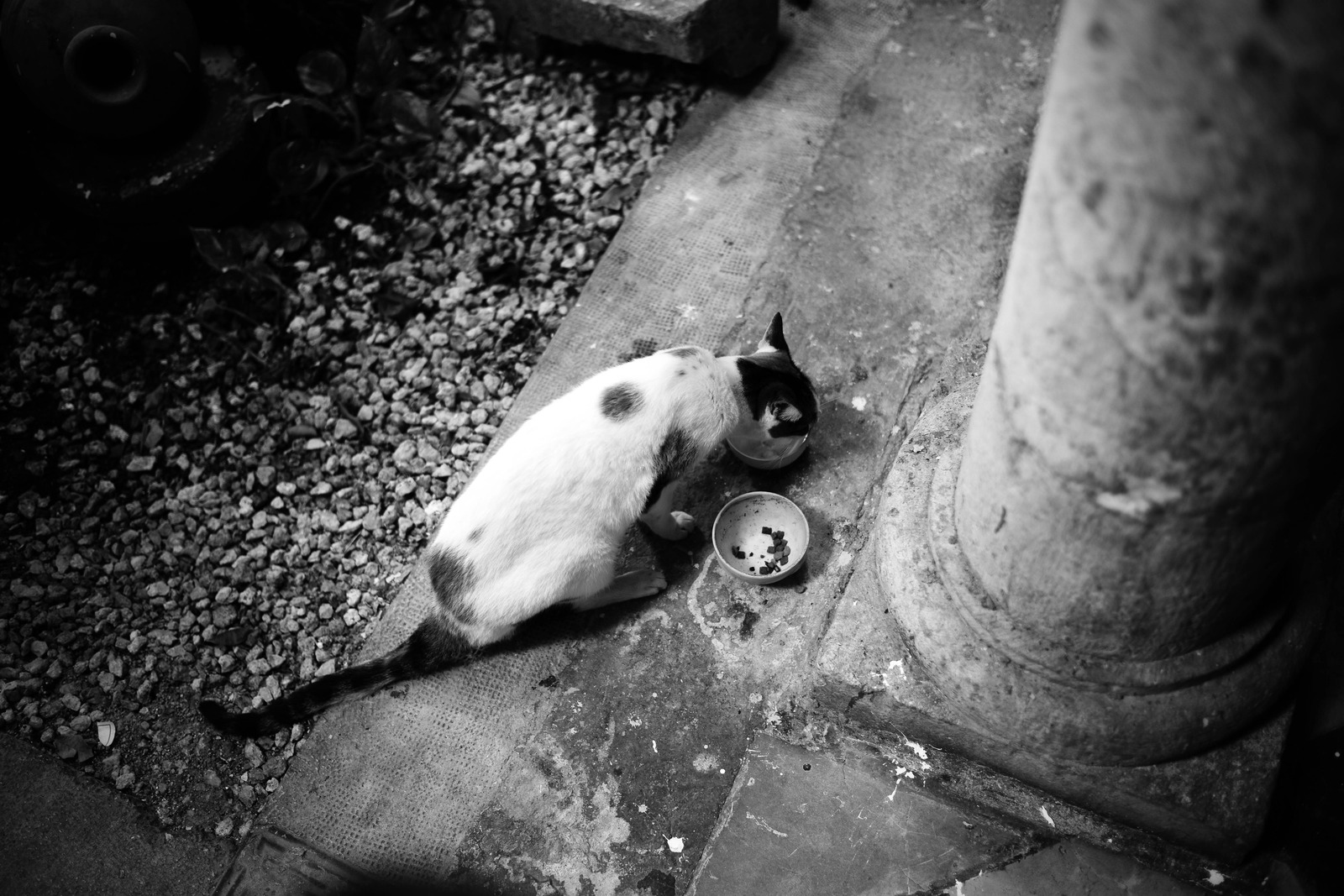 Quiet Moments of Solitude