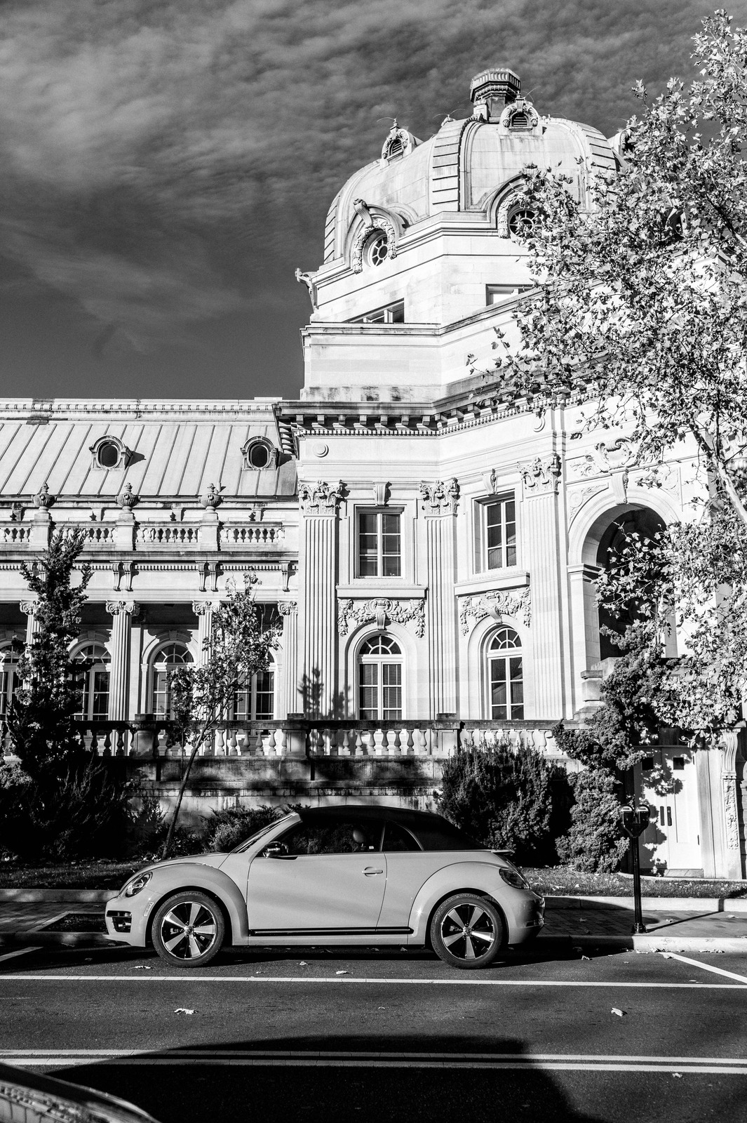 Timeless Elegance in Monochrome