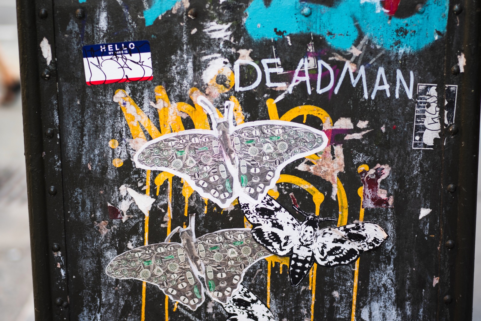 Urban Butterfly Collage