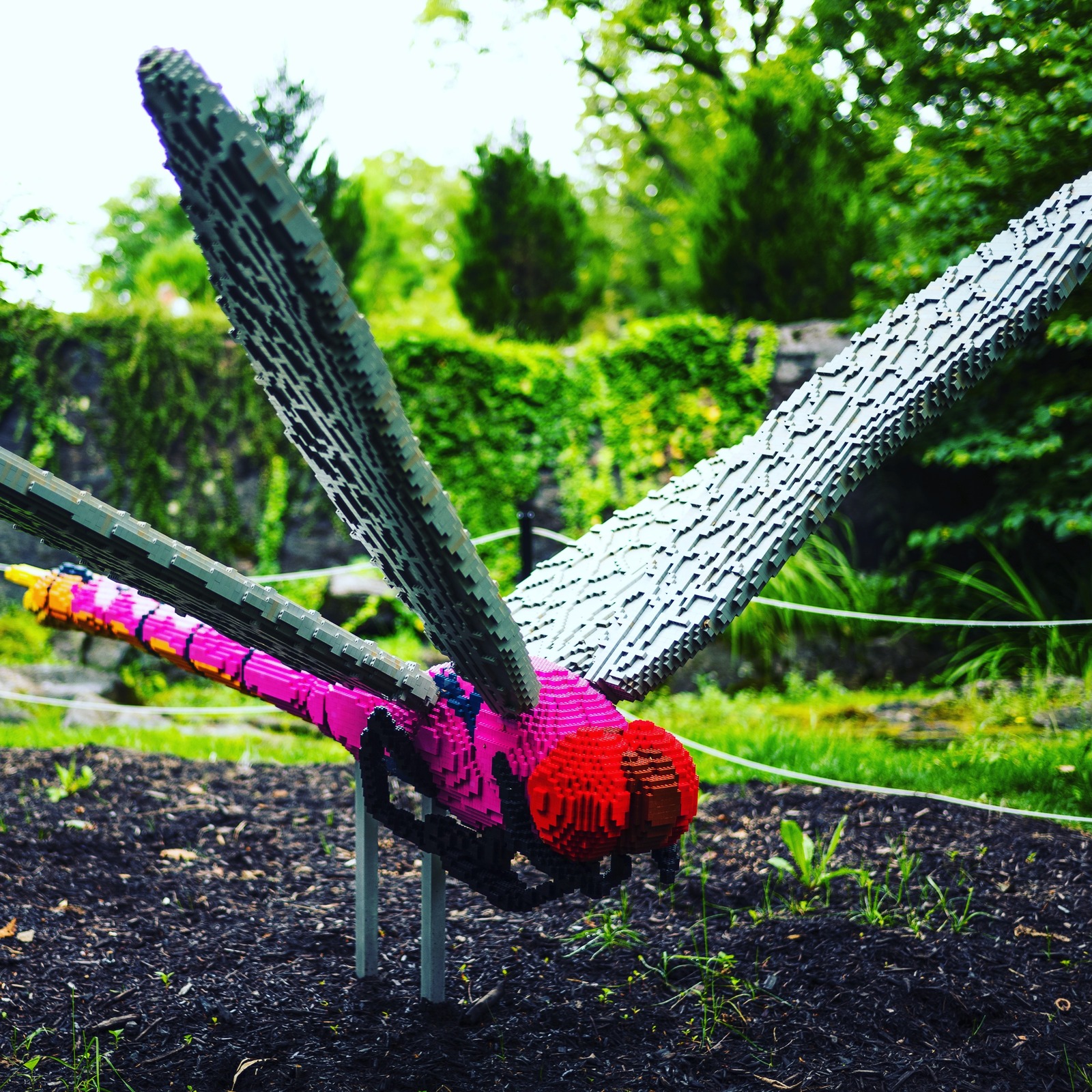 Vibrant LEGO Dragonfly