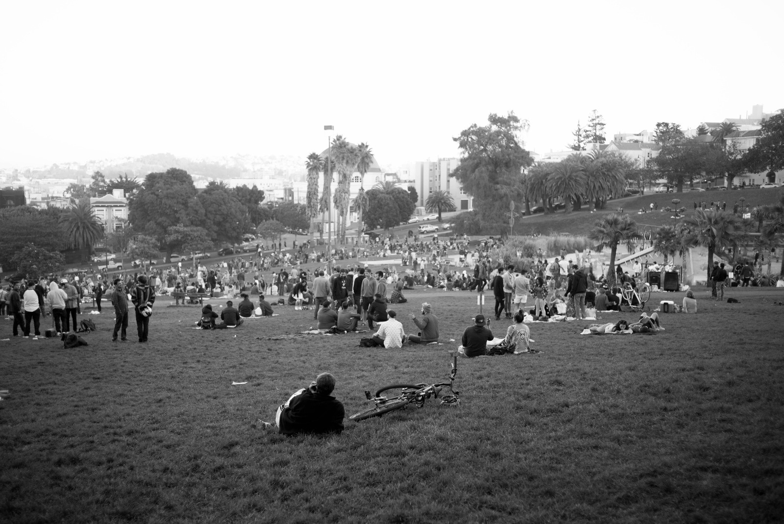 Gathering at the Park