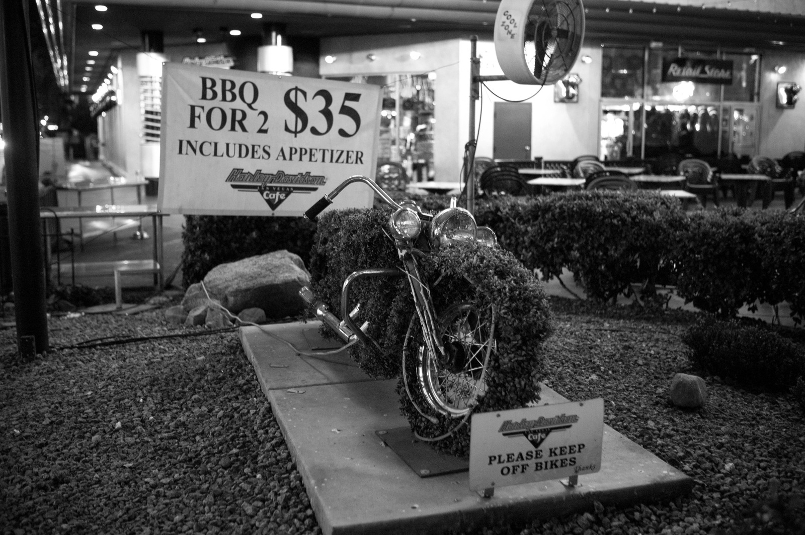 Charming Café Bicycle Display