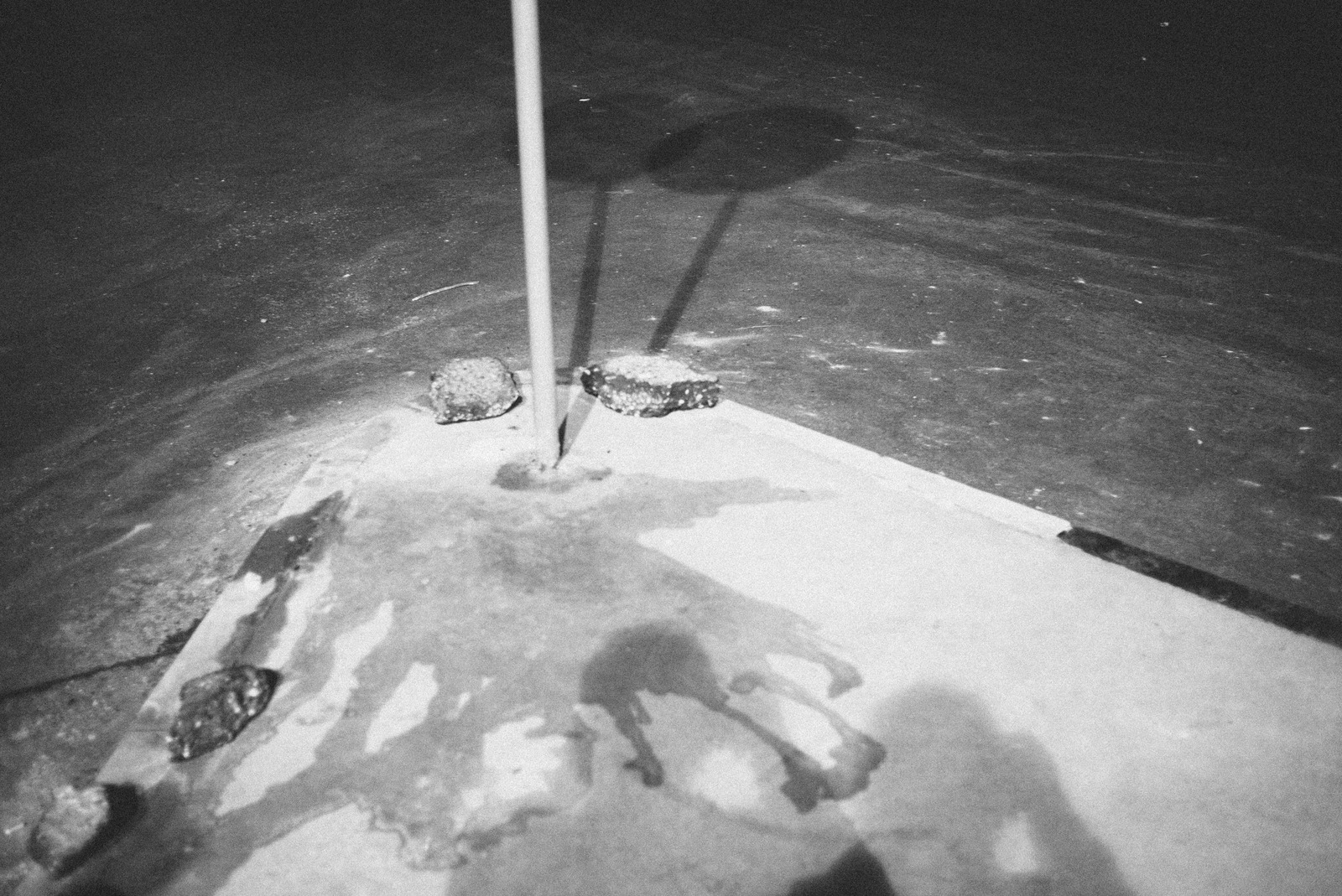 Shadows on the Shore