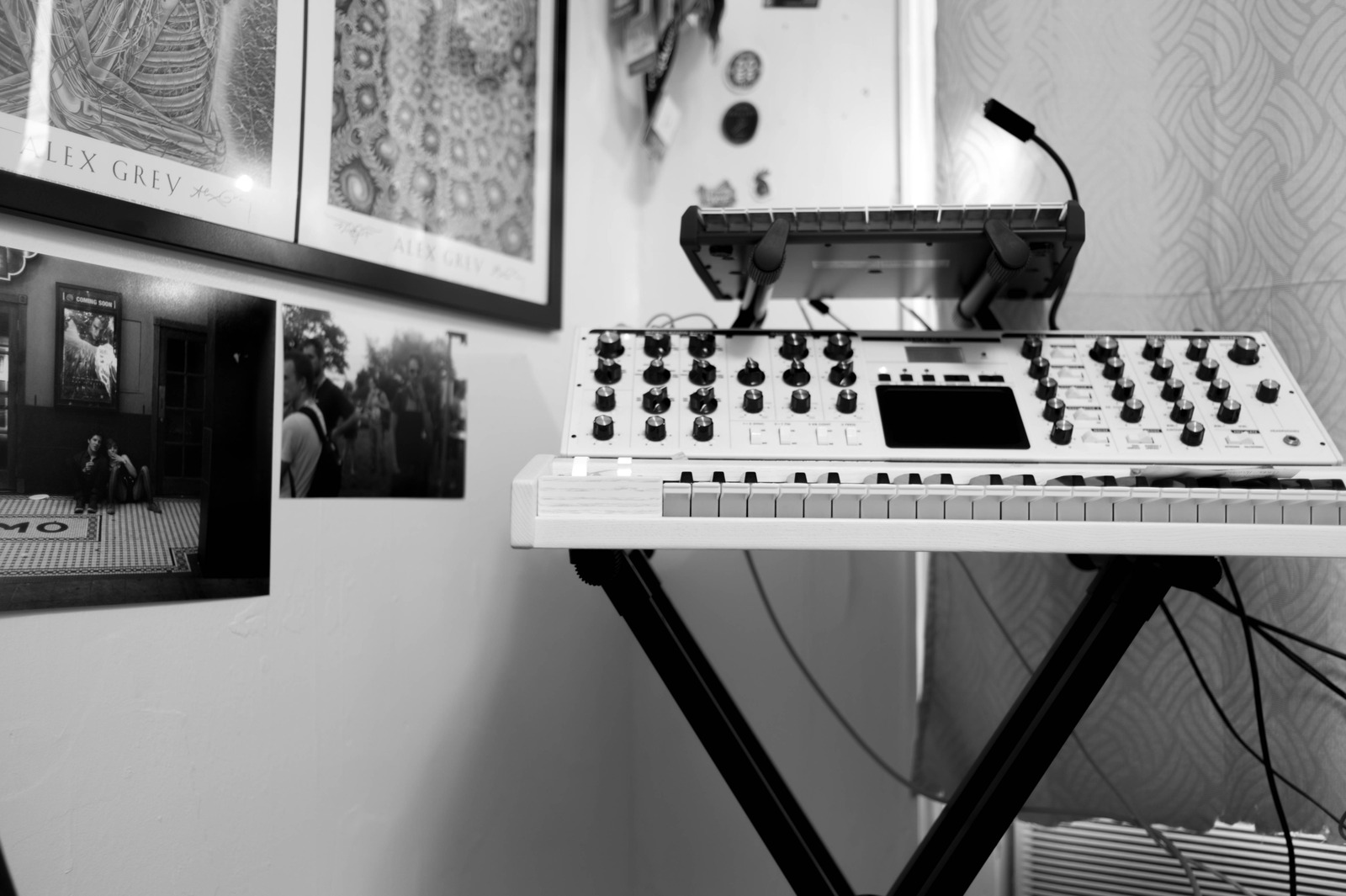 A Creative Sanctuary