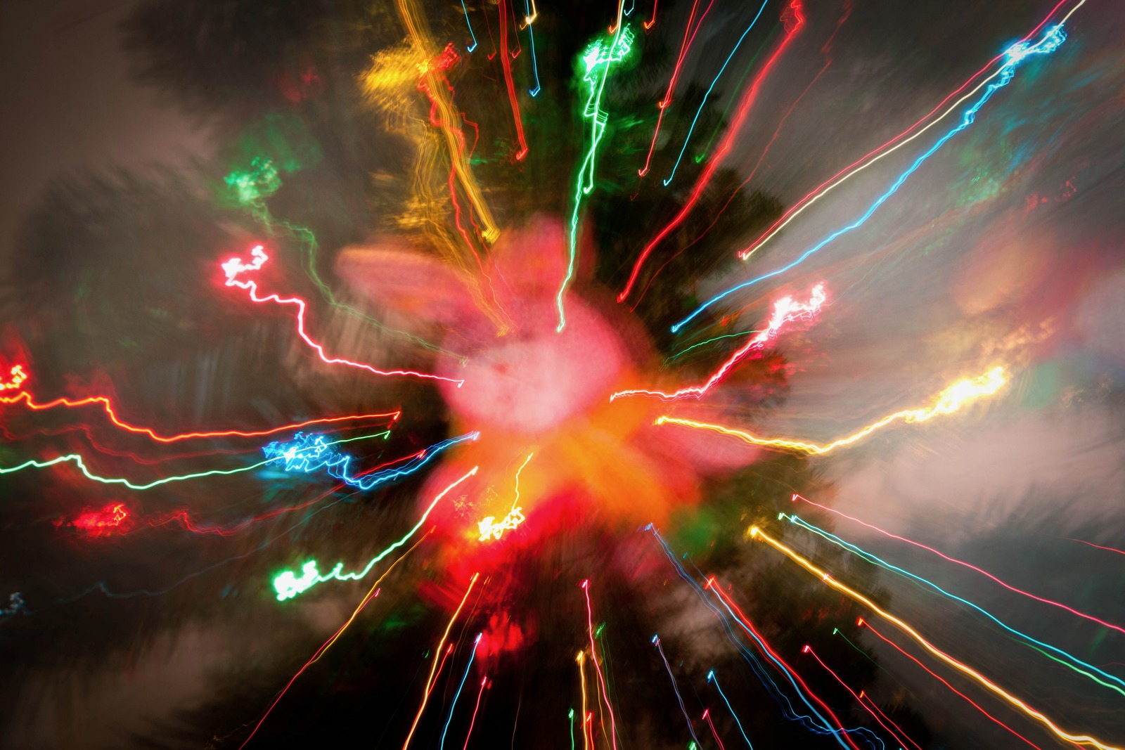 Burst of Holiday Cheer