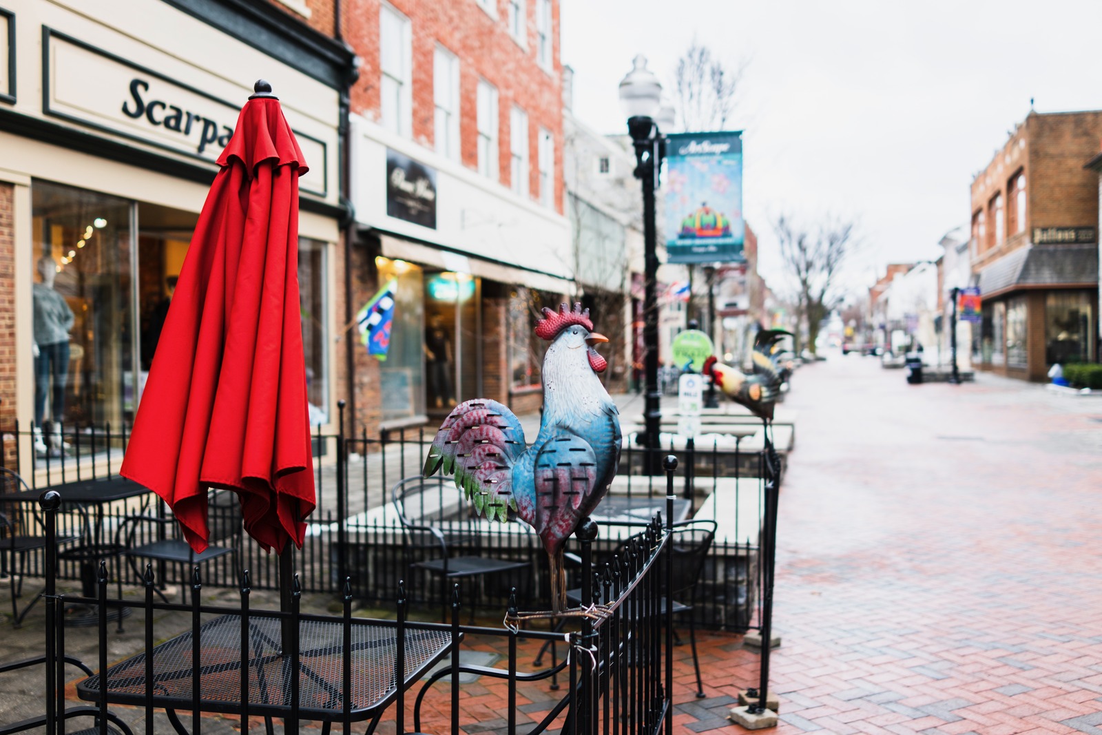 Colorful Rooster in Winter Scene
