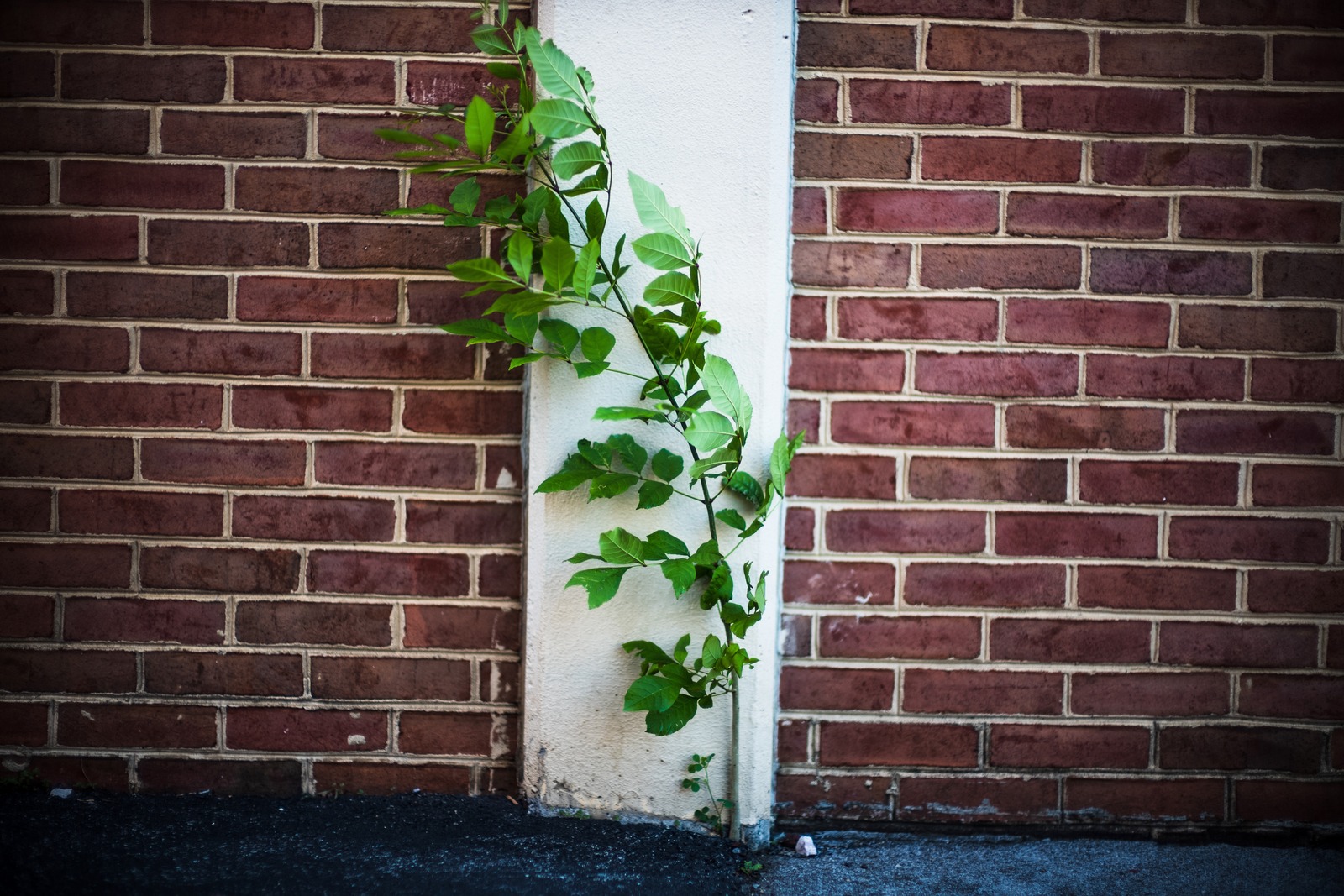 Resilience in Urban Spaces