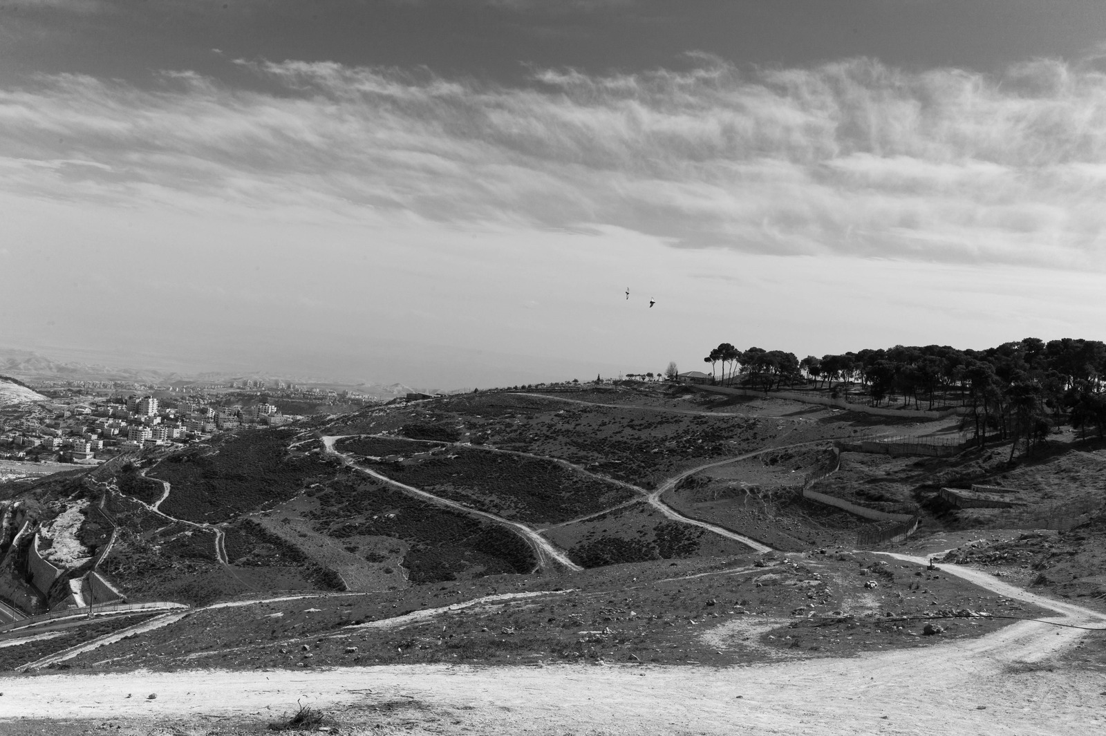 Winding Paths of Time