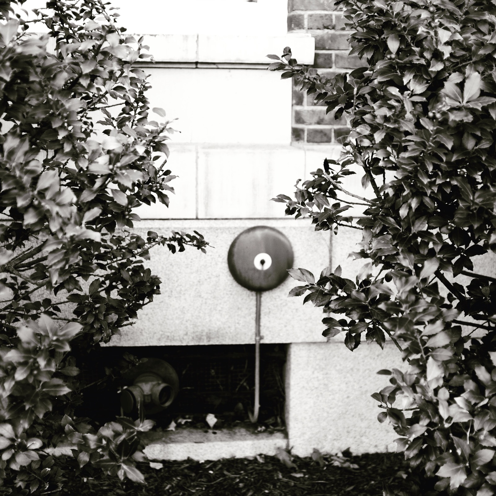 Hidden Details in Shadows