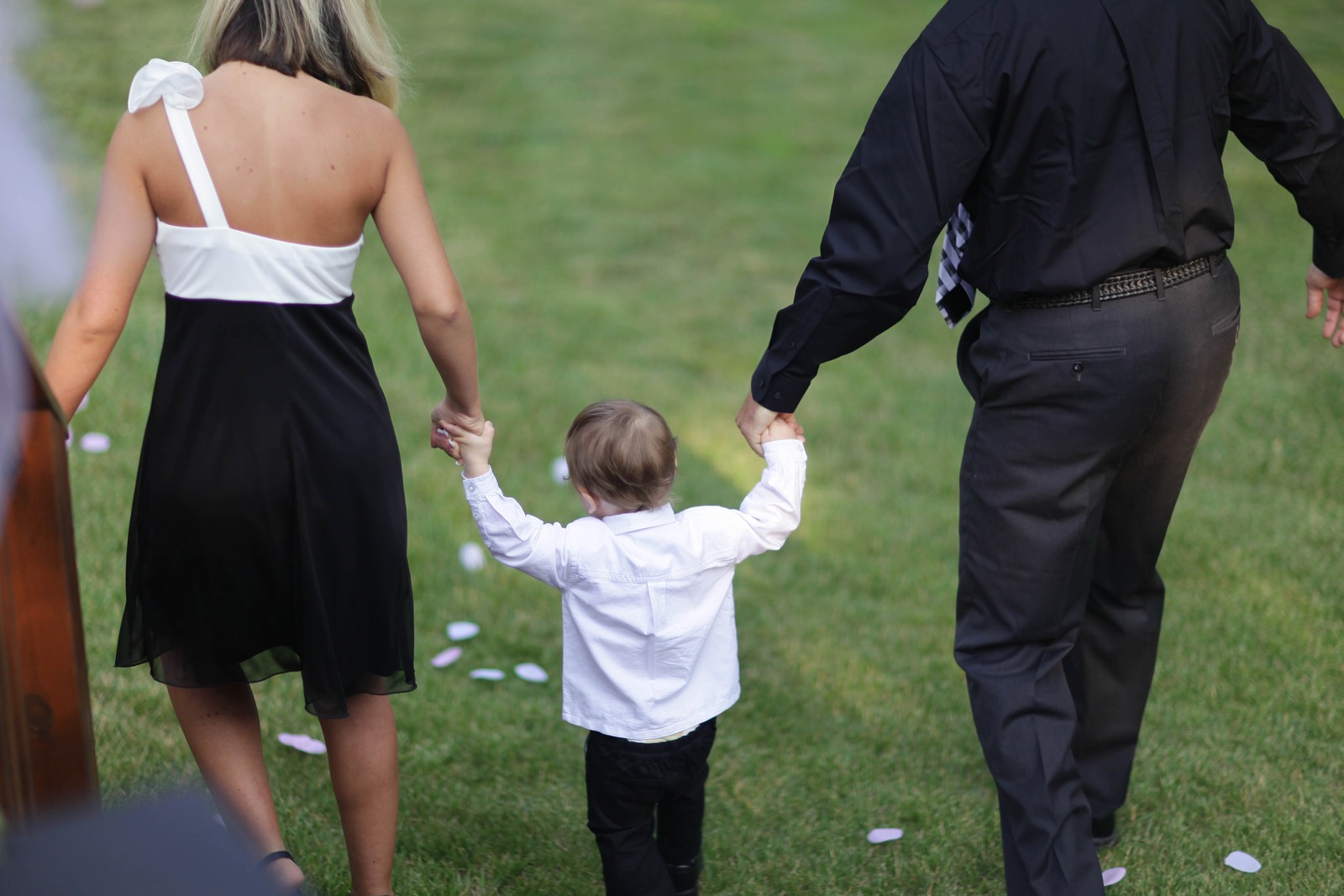 A Gentle Walk to Celebration