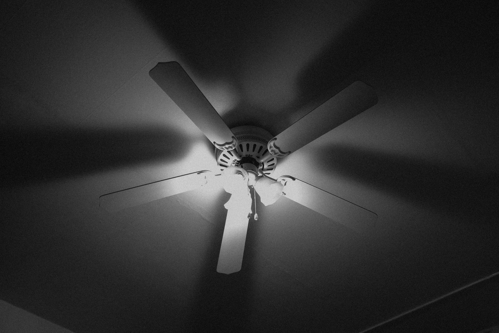 Whispers of Circulation