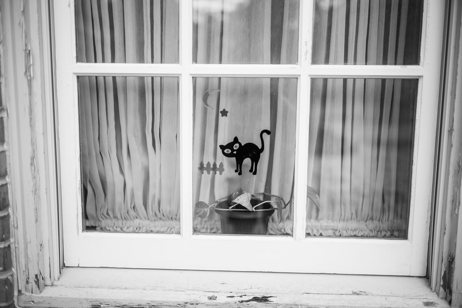 Whimsical Window View