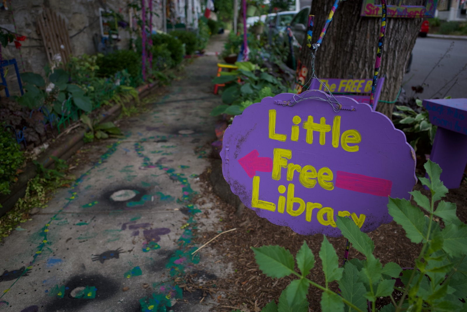 Whimsical Pathway to Knowledge