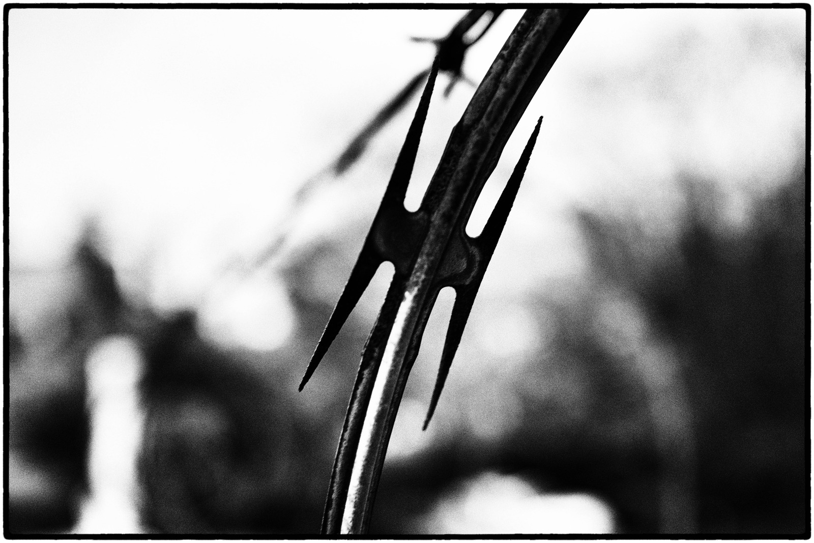 Fragmented Edge of Nature