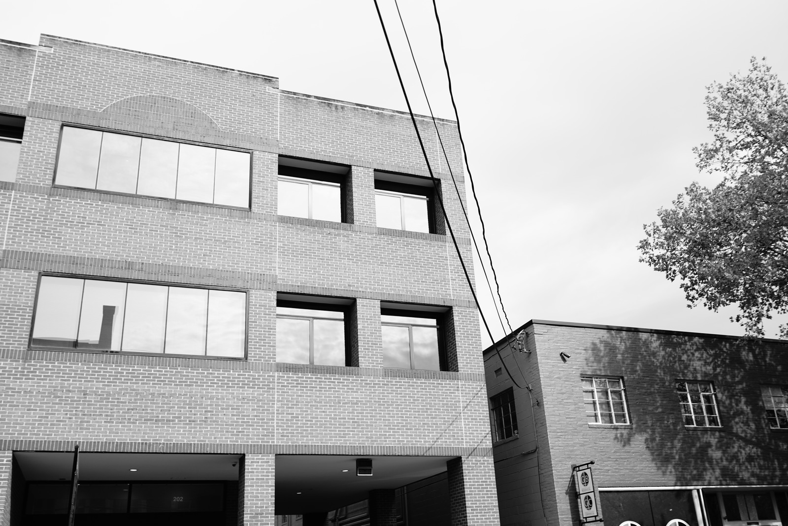 Urban Symmetry in Monochrome