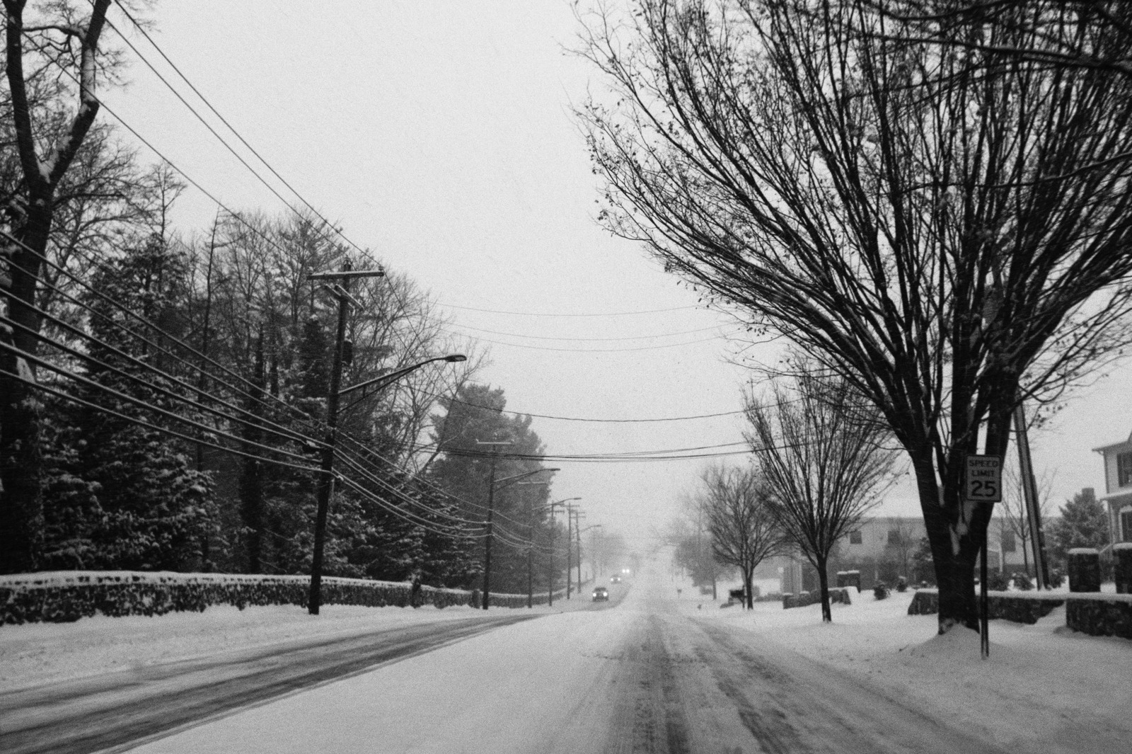 Silent Winter's Gaze