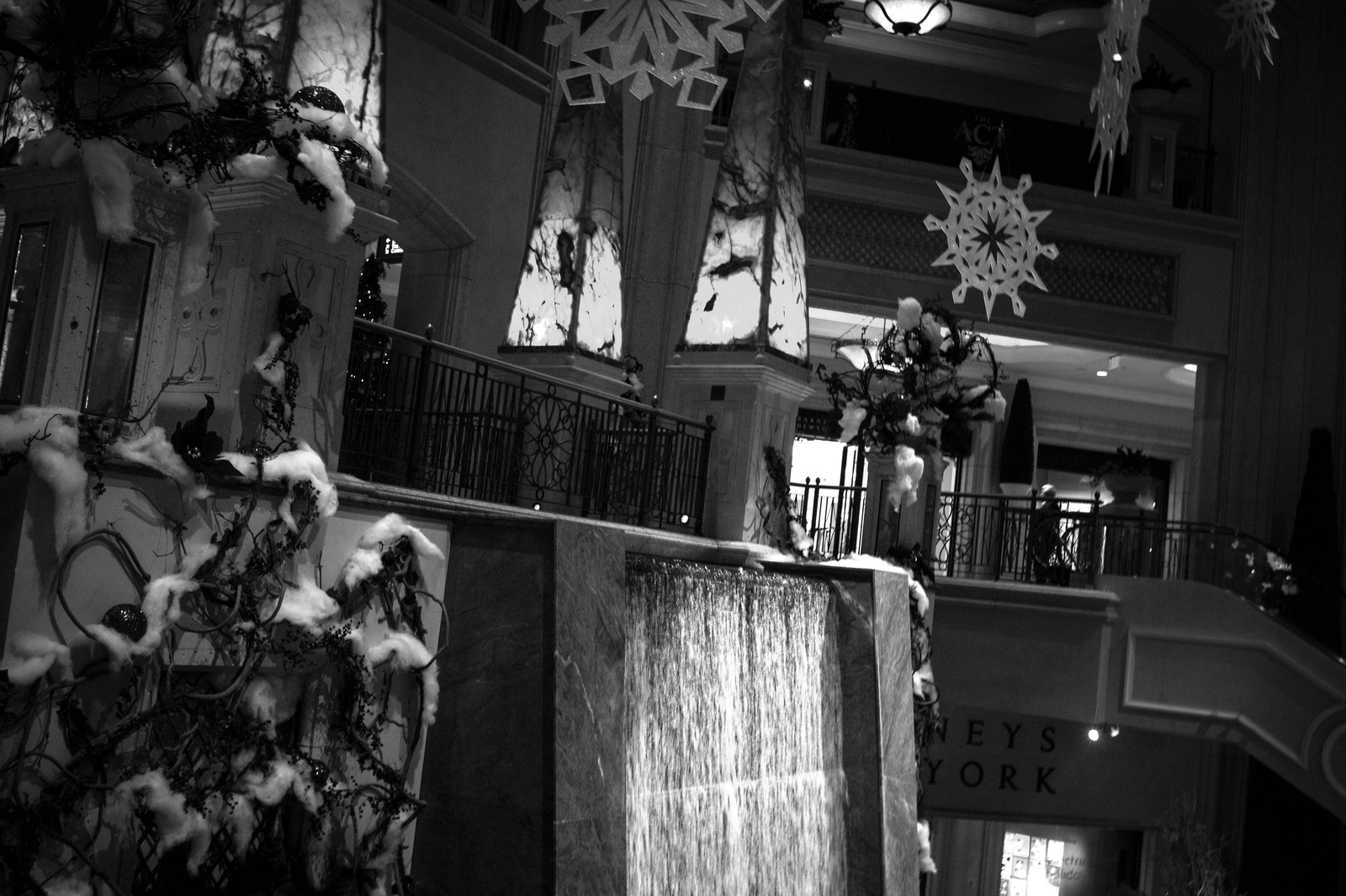 Elegance in Monochrome