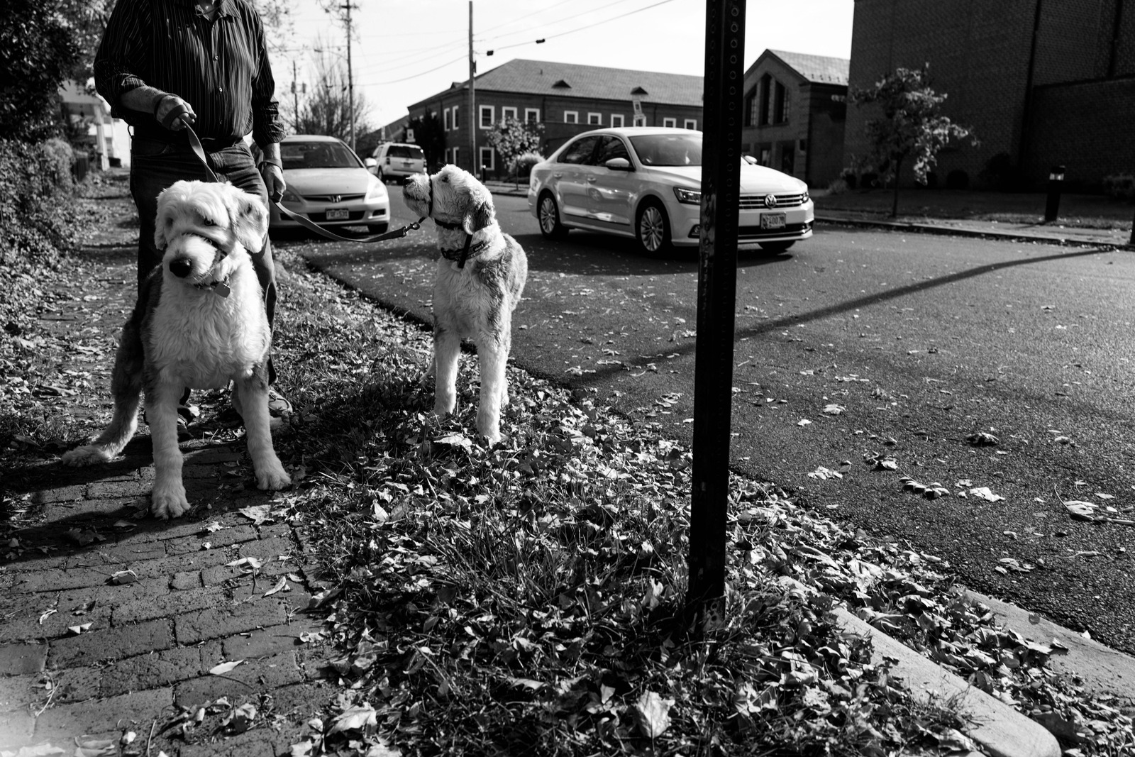 A Stroll in Monochrome