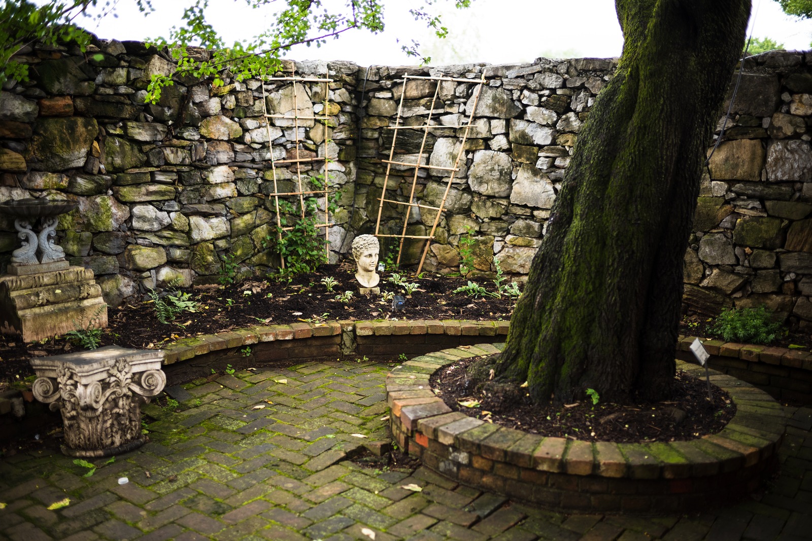 Serene Garden Sanctuary