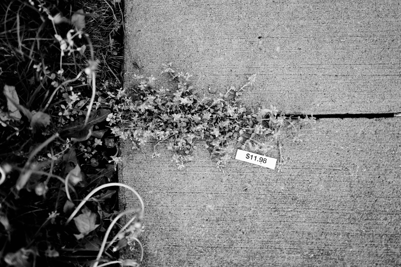 Nature’s Resilience